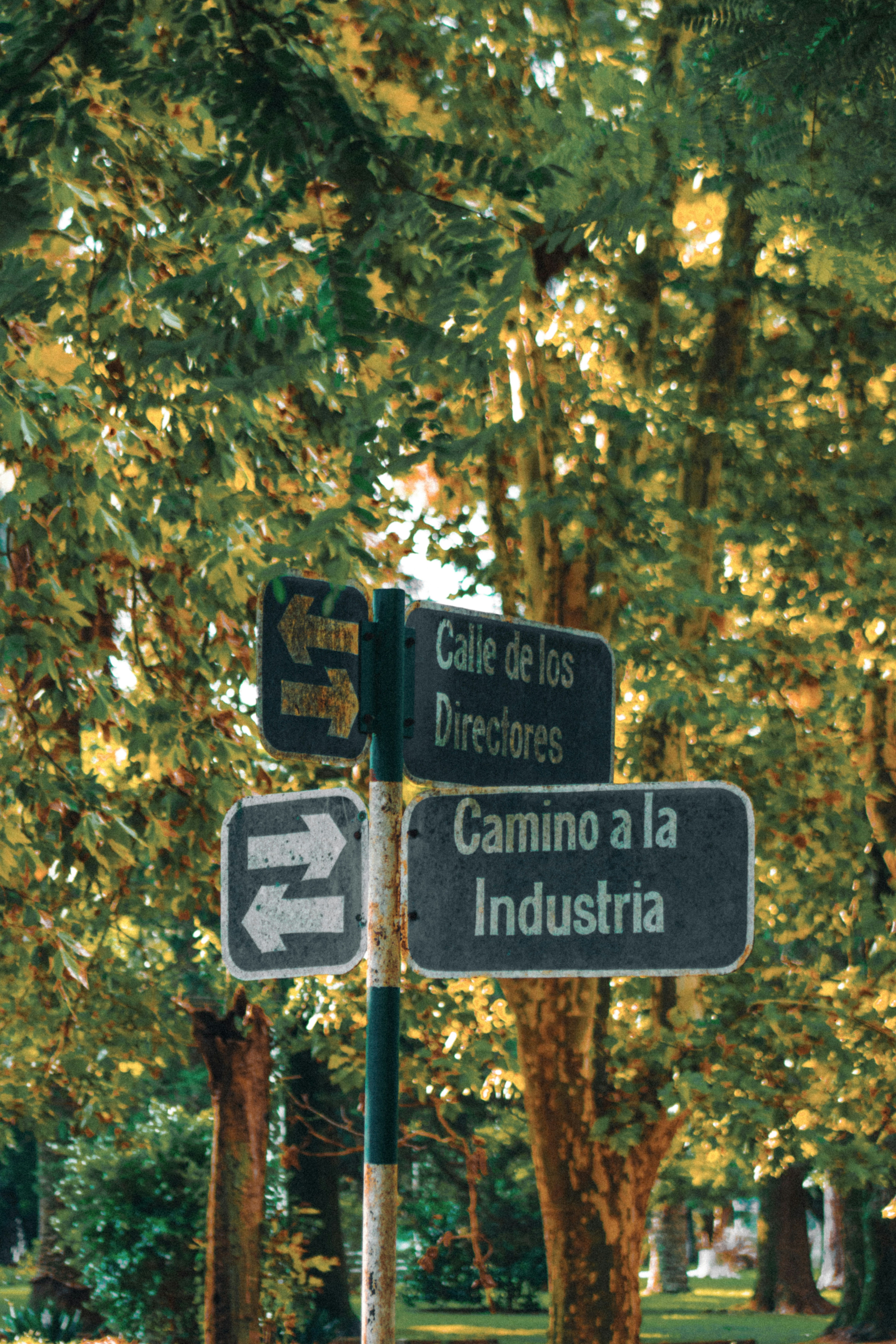 La guía definitiva para encontrar alternativas al manejo manual de llamadas en Granada 2026