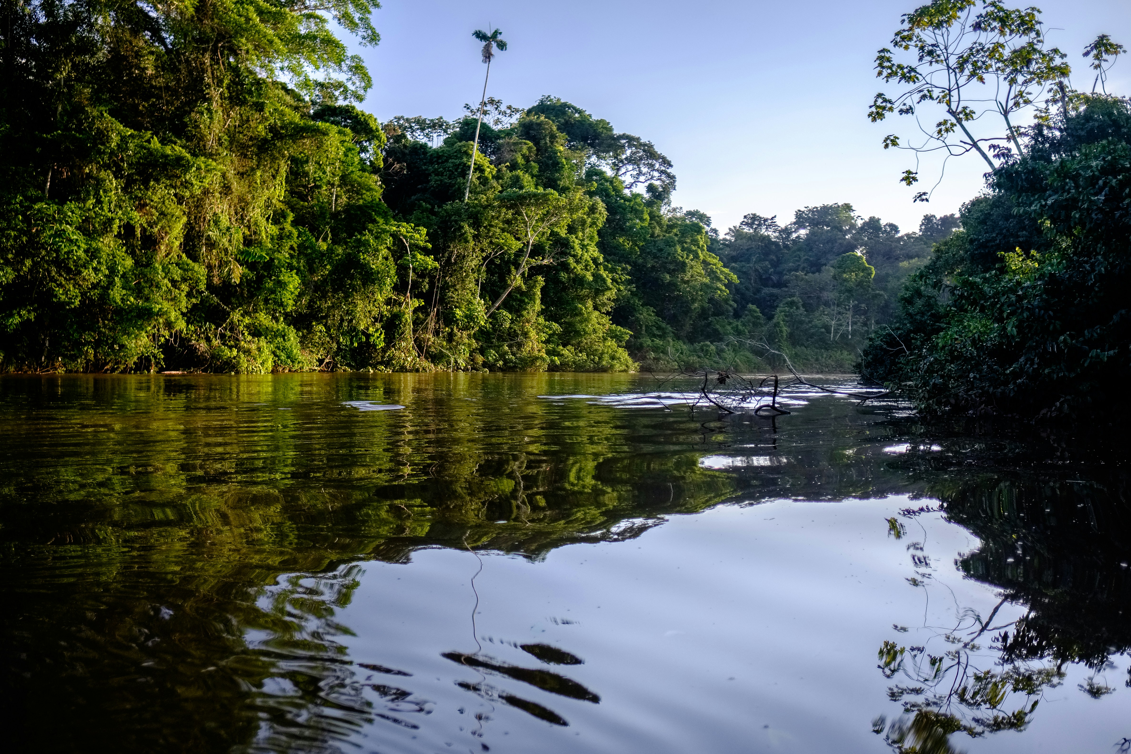 Explorando las APIs compatibles con OpenAI en Amazon Bedrock: Un viaje de CLI a través de Project Mantle