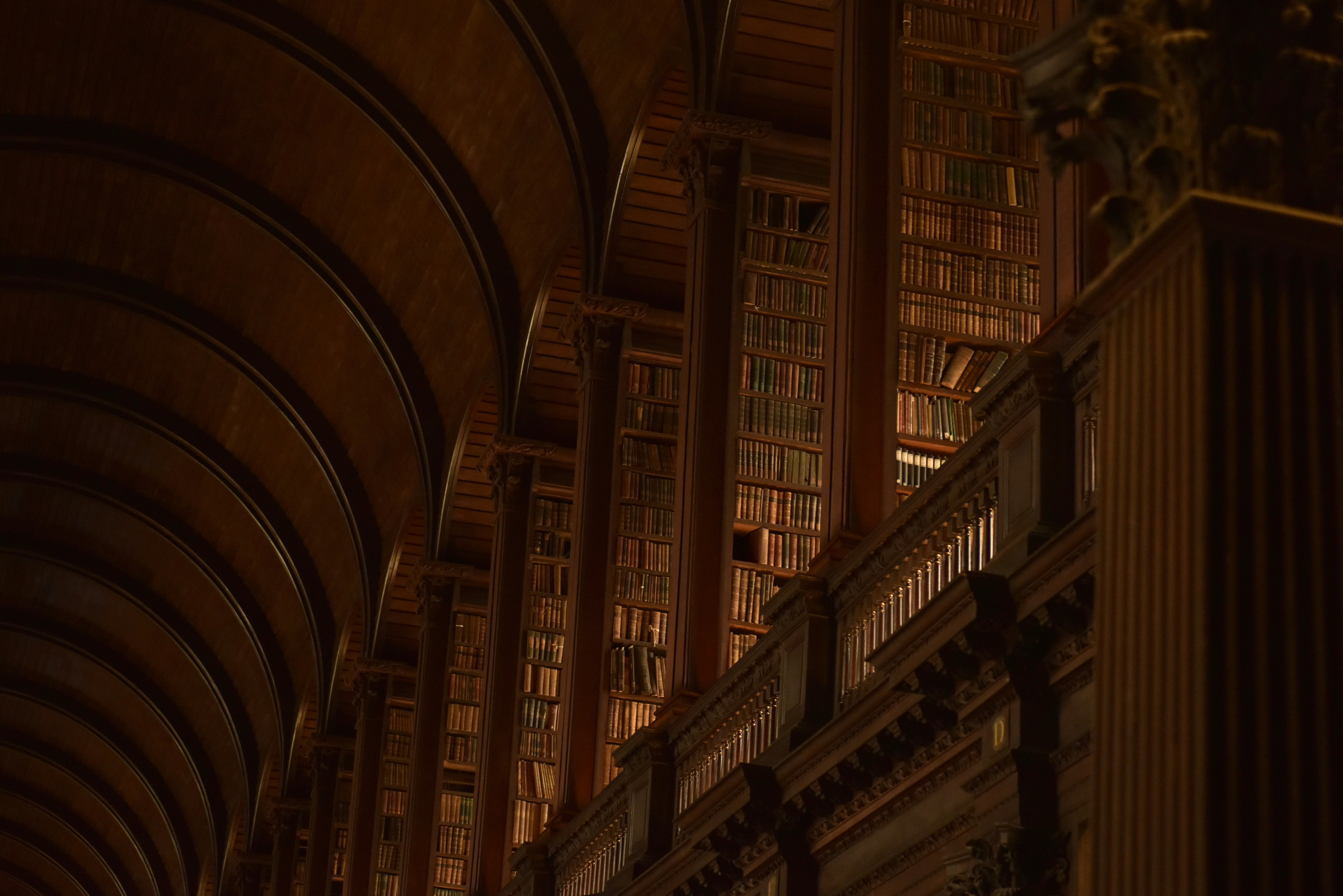 Albañilería: Cosas para las que ya no necesitarás una biblioteca