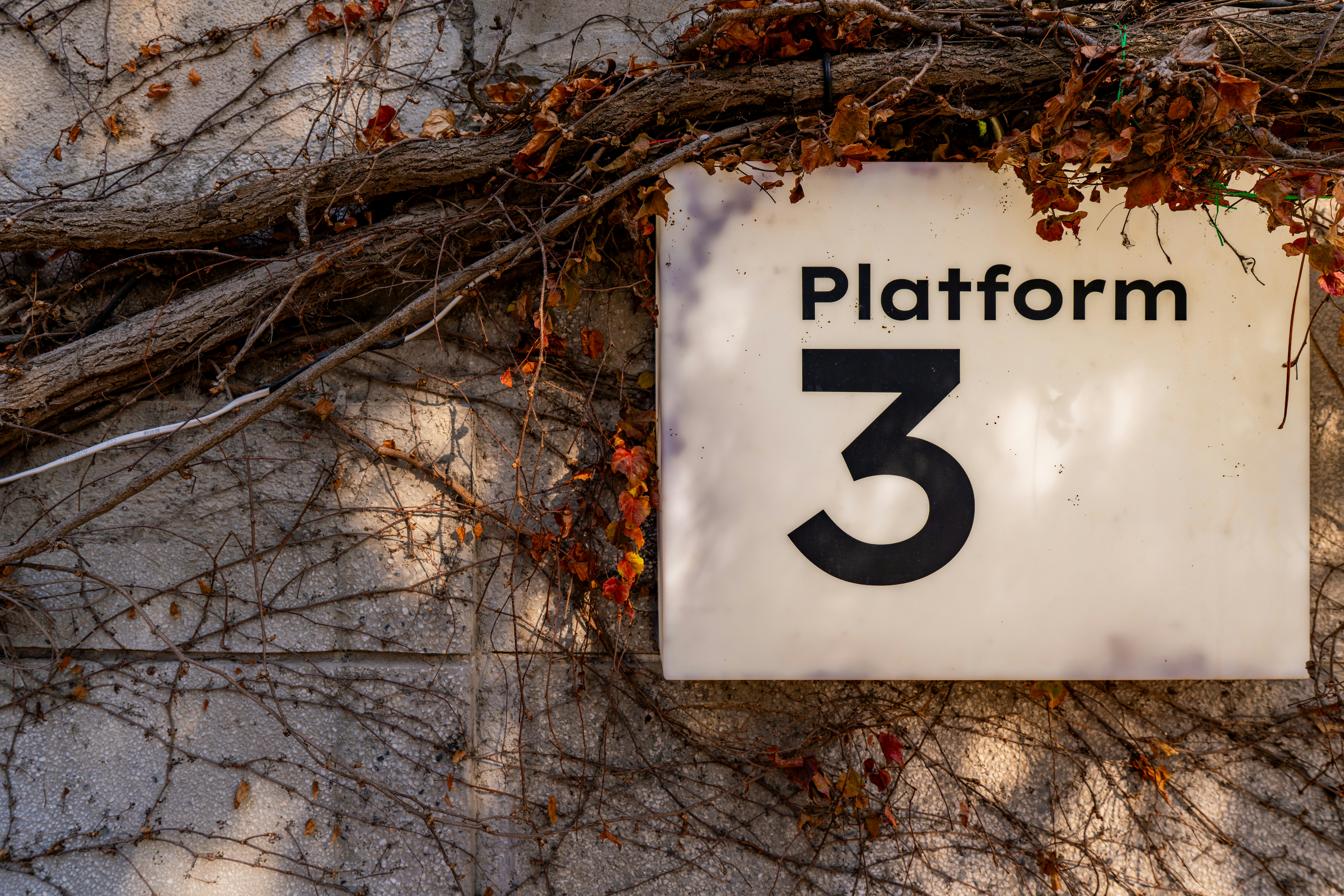 Mejores 5 empresas para software a medida vs plataforma SaaS en Barcelona