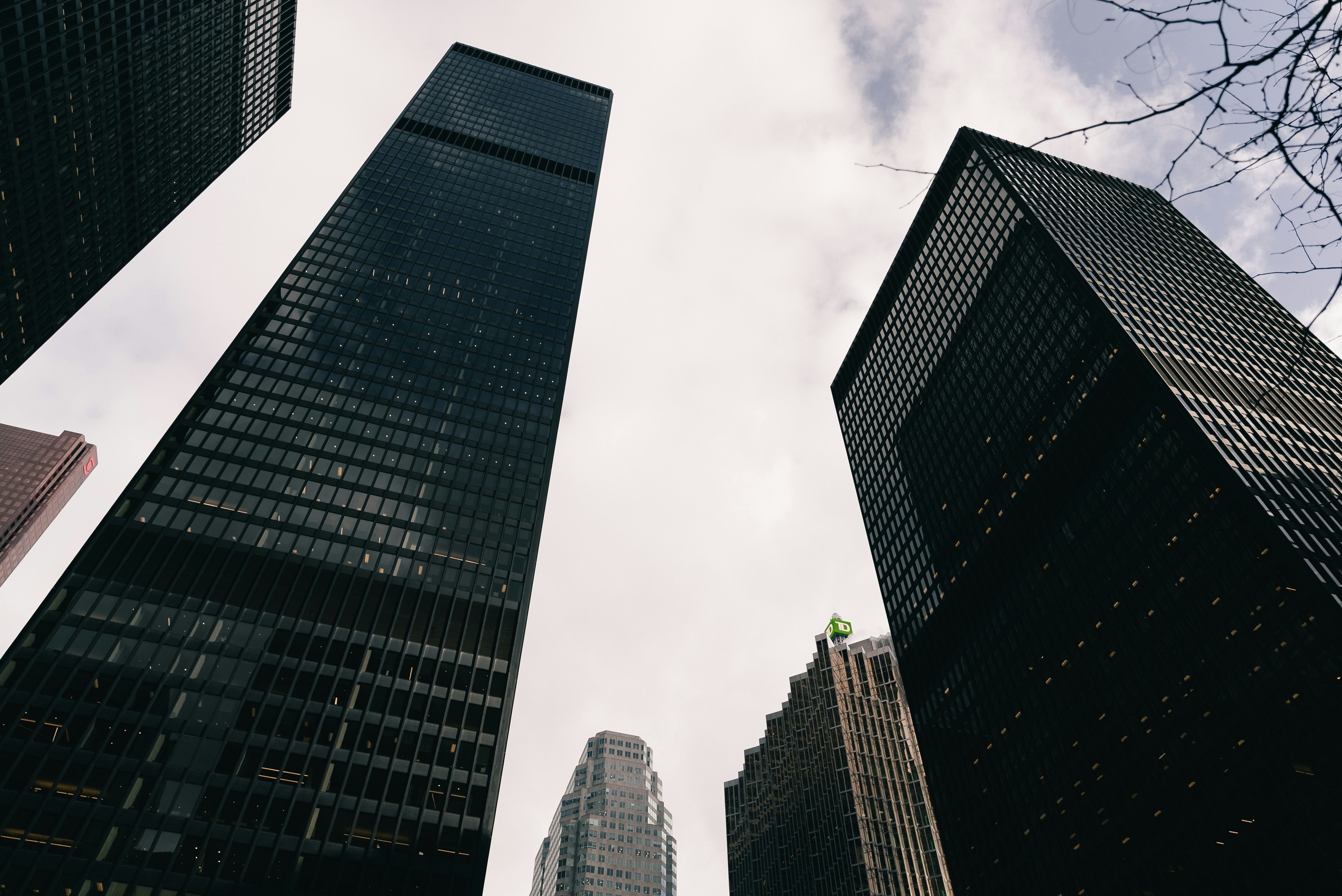 Top 50 Empresas para cuál es la diferencia entre la automatización RPA y AI en Córdoba