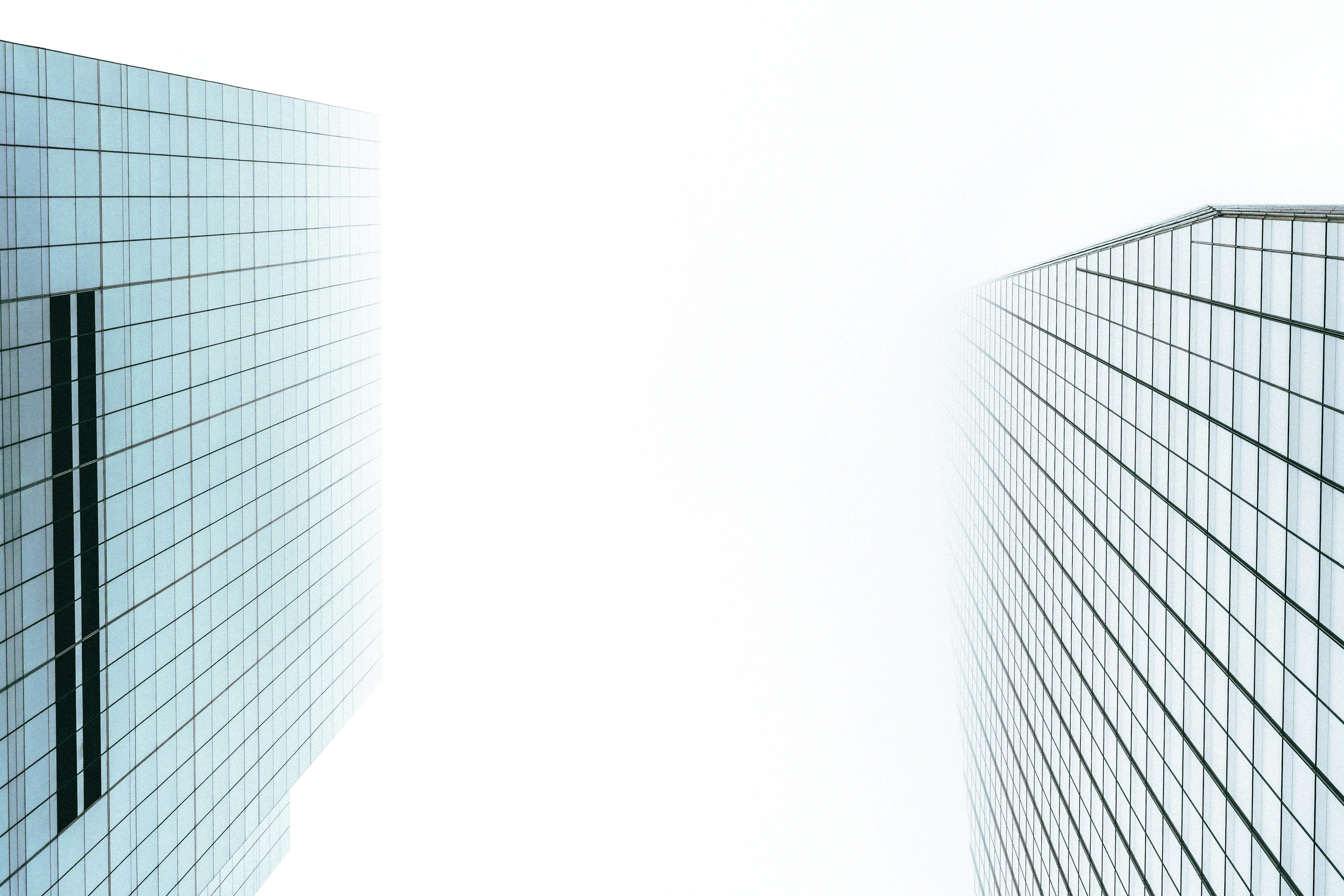 Comparación completa: software personalizado para empresas vs software listo para usar