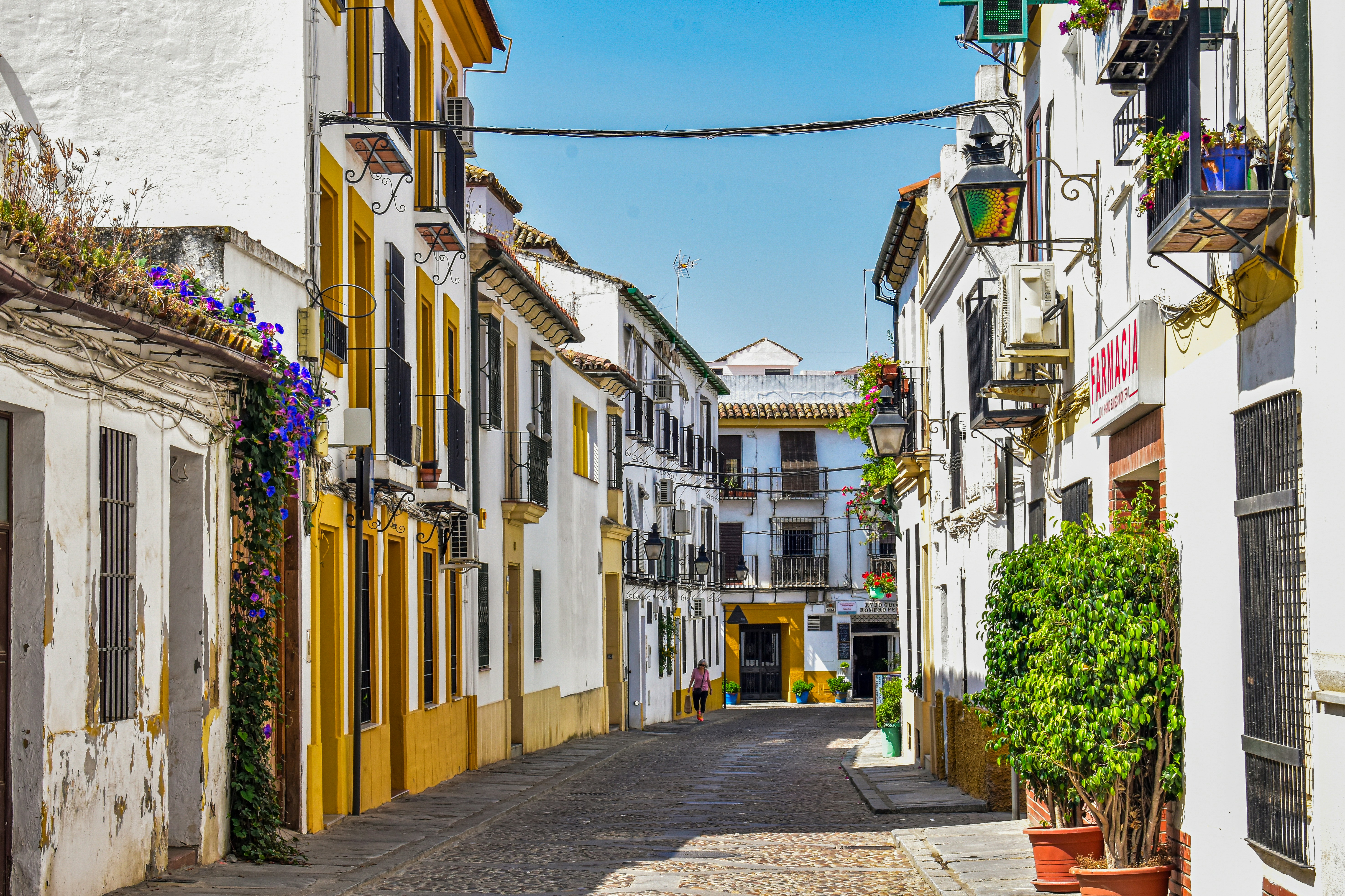 Mejores 10 empresas para desarrollo de software saas en Córdoba