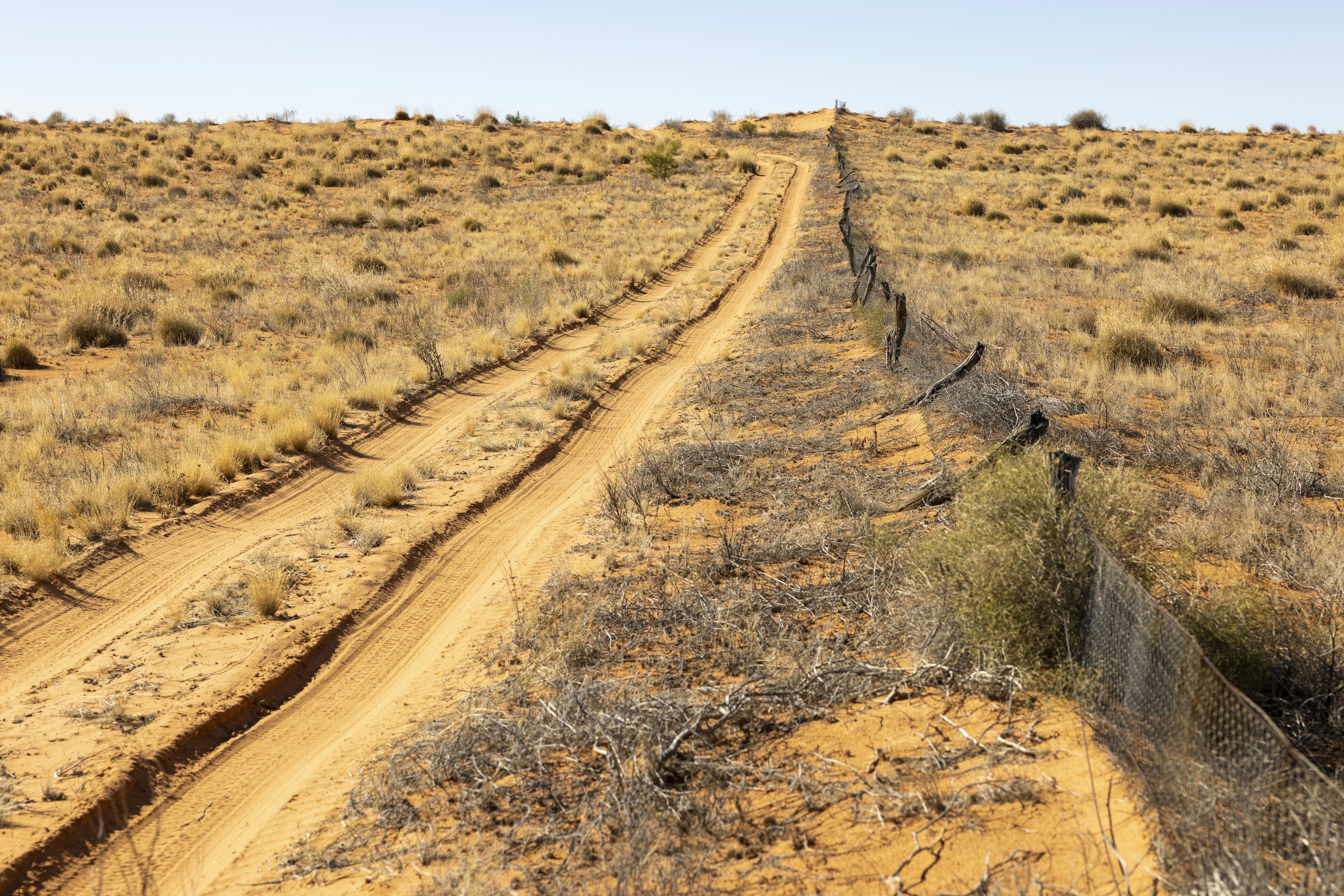 DEV Track Spotlight: Desarrollo Nativo de IA: Estrategias e Impacto en Amazon y AWS (DEV323)