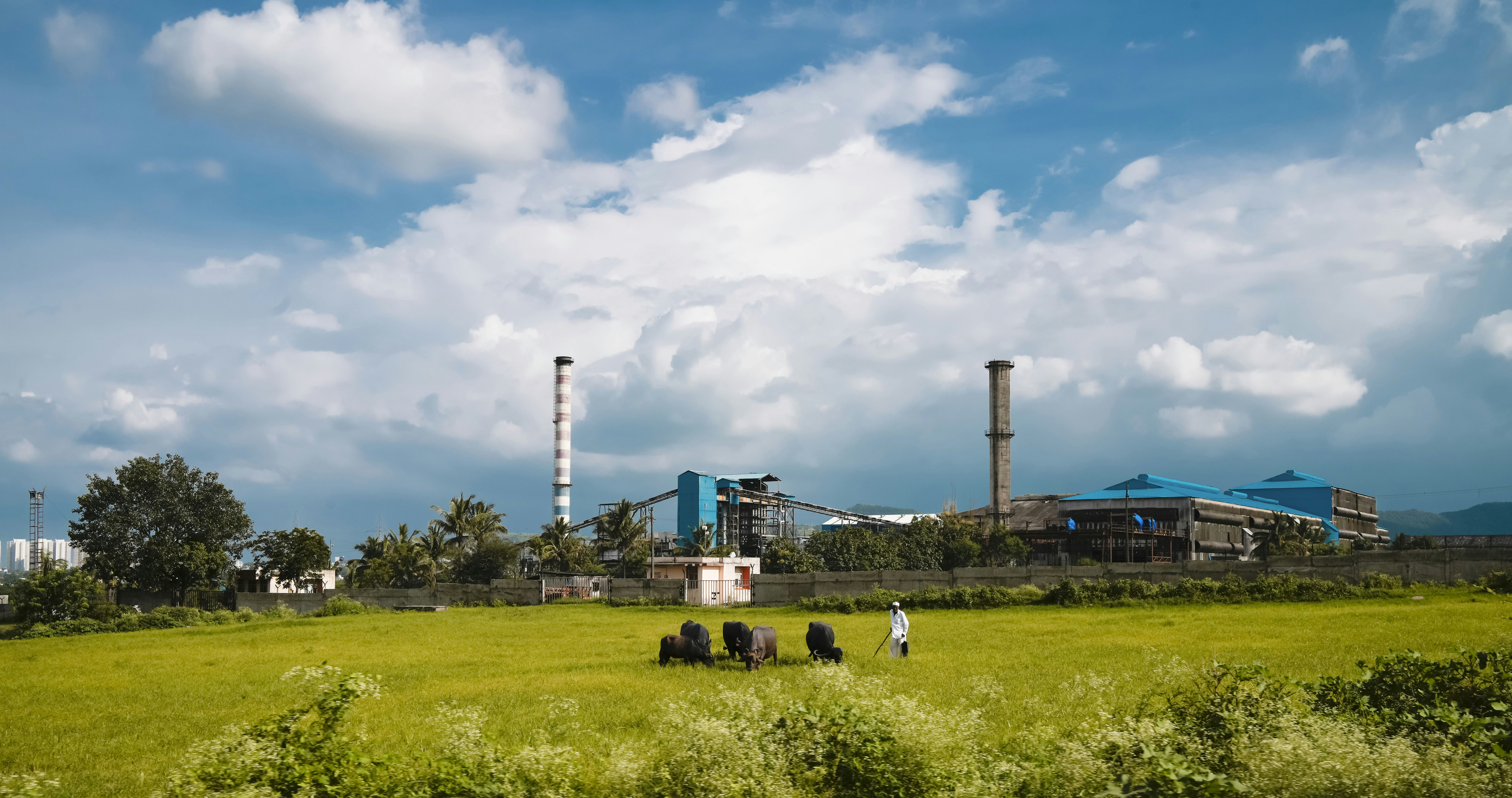 ¿Qué industrias utilizan el desarrollo de SaaS impulsado por IA?