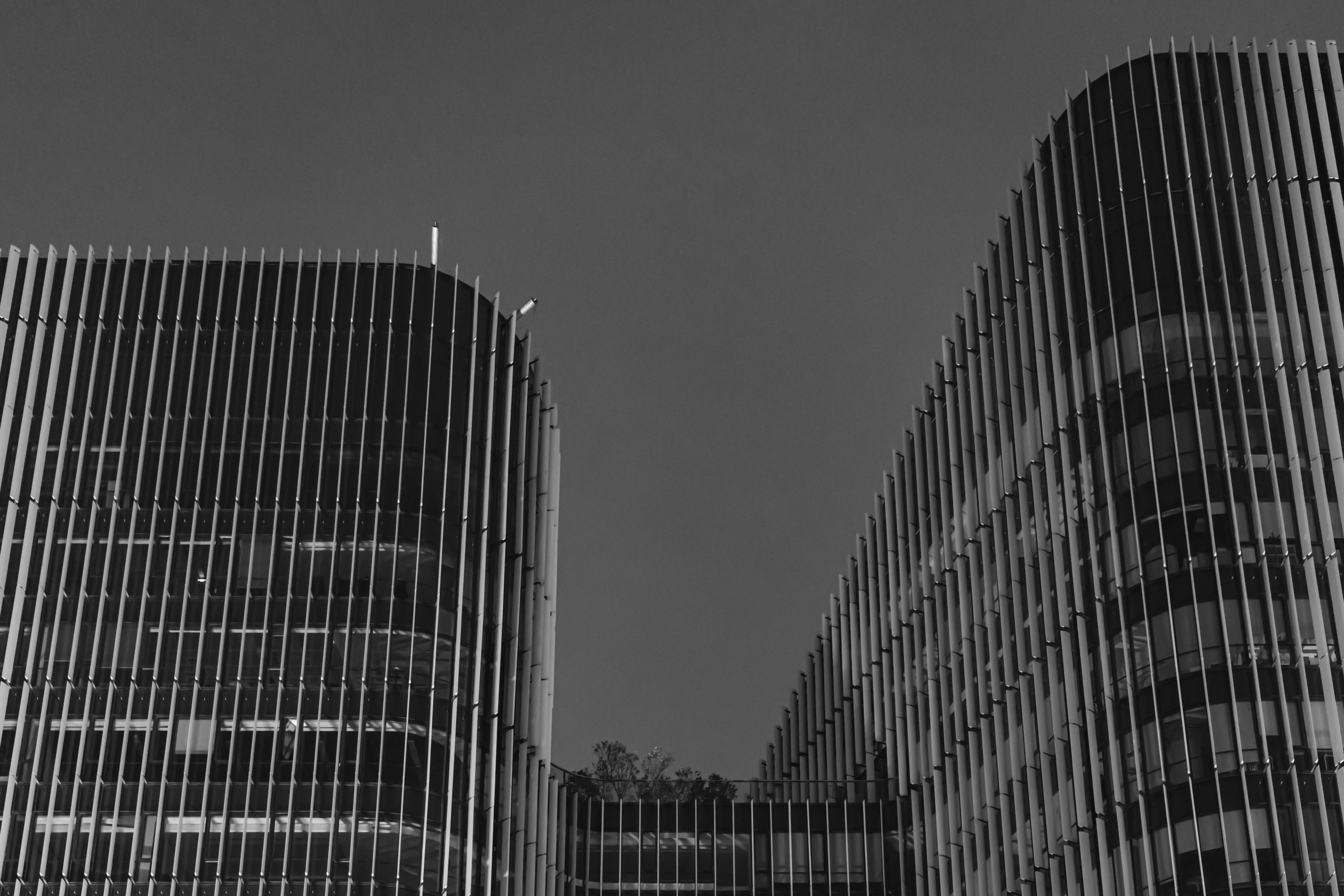 Top 100 Empresas para servicios de desarrollo de MVP en Palma