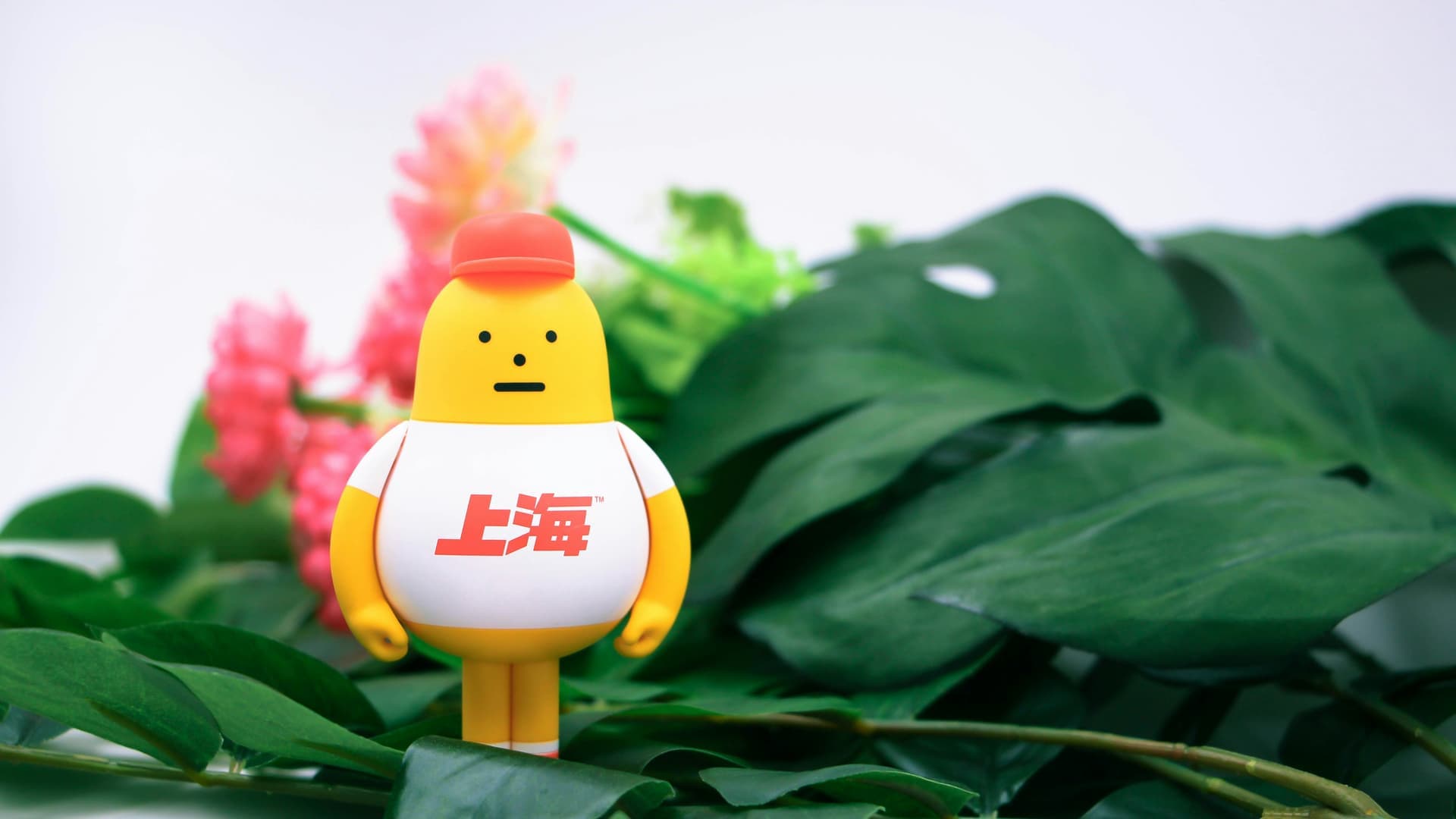 Mejores 100 empresas de programación a medida en Sestao