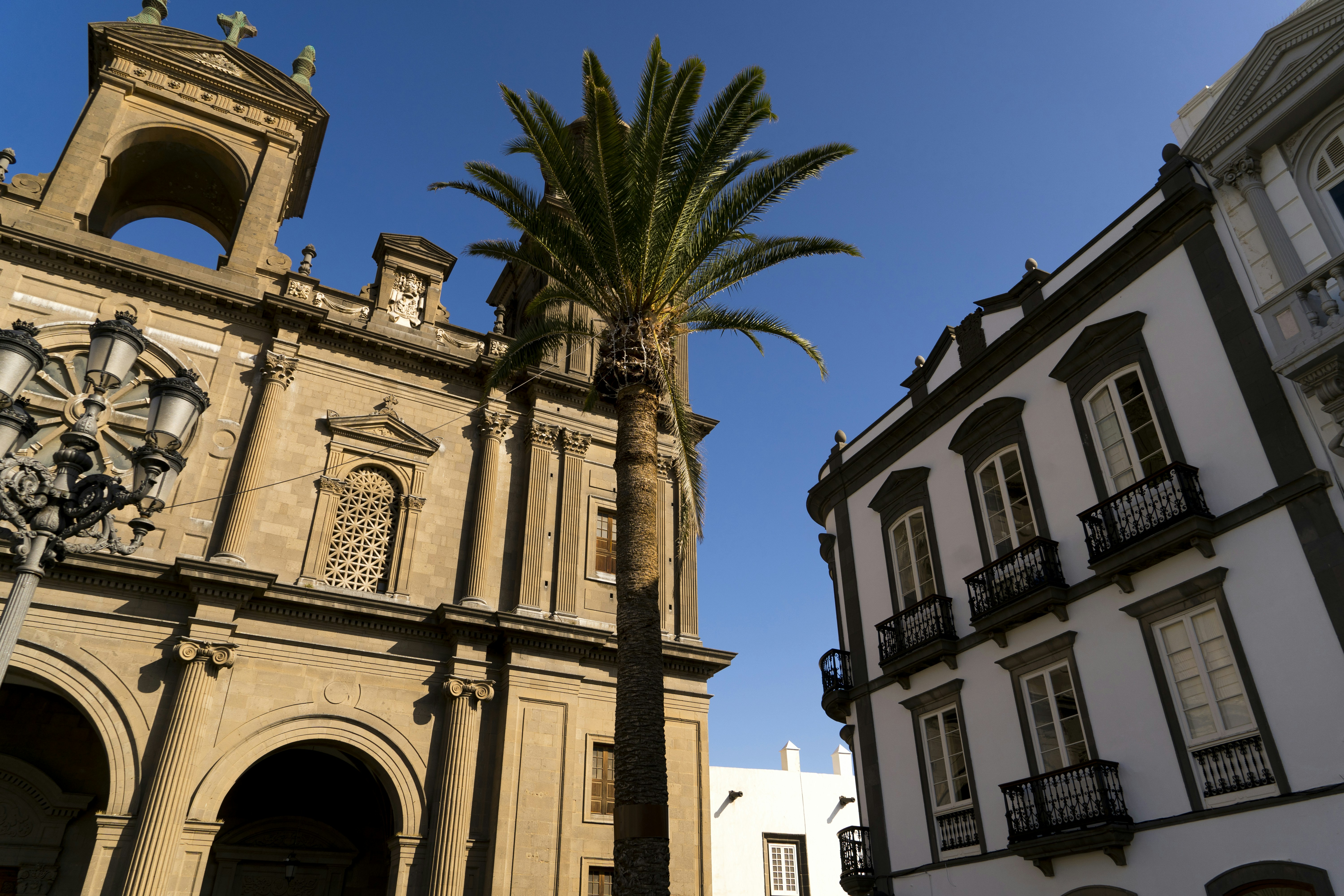 Top 30 Empresas de Inteligencia Empresarial en Las Palmas