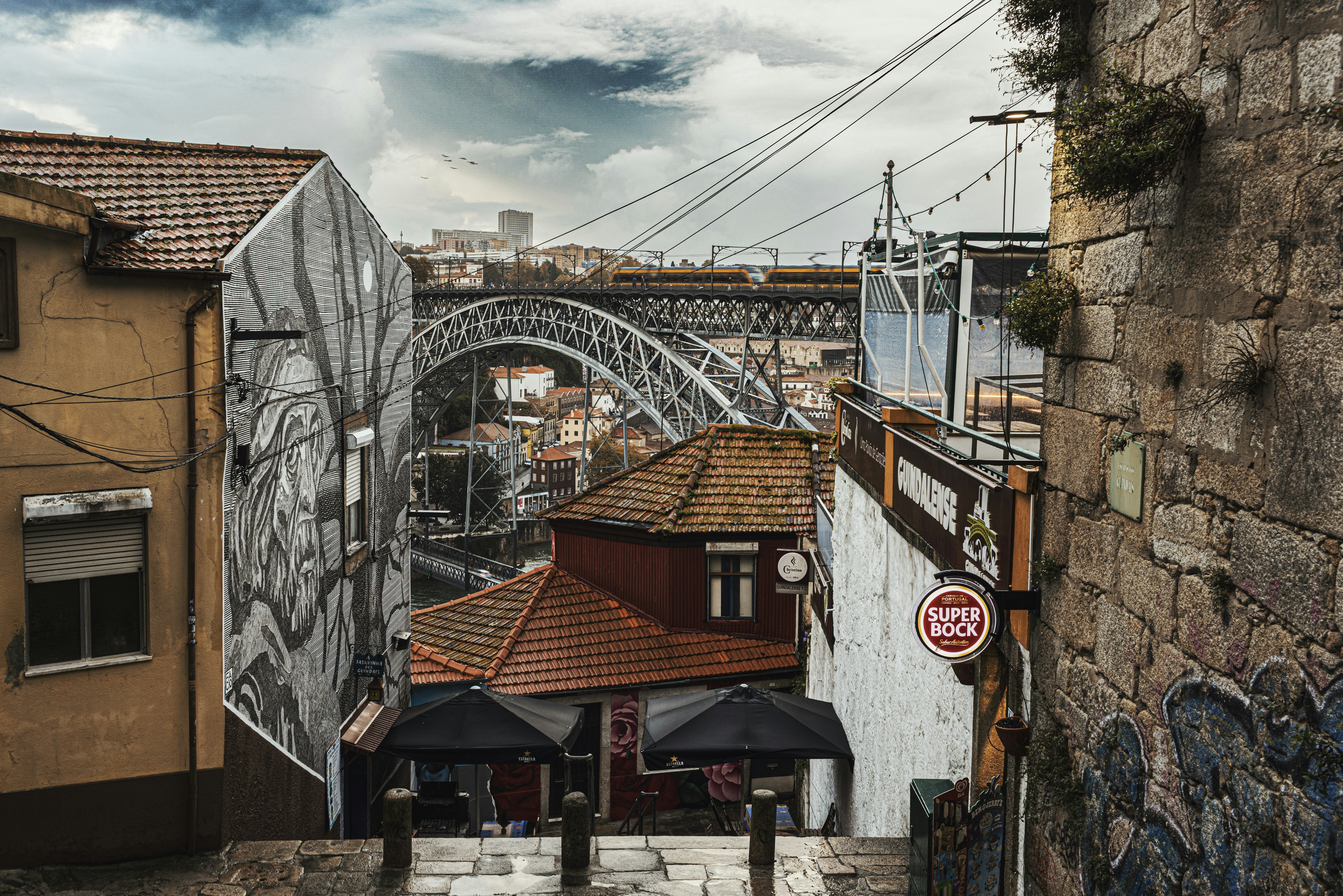 Mejores 50 empresas para bots de instagram en Ribeira