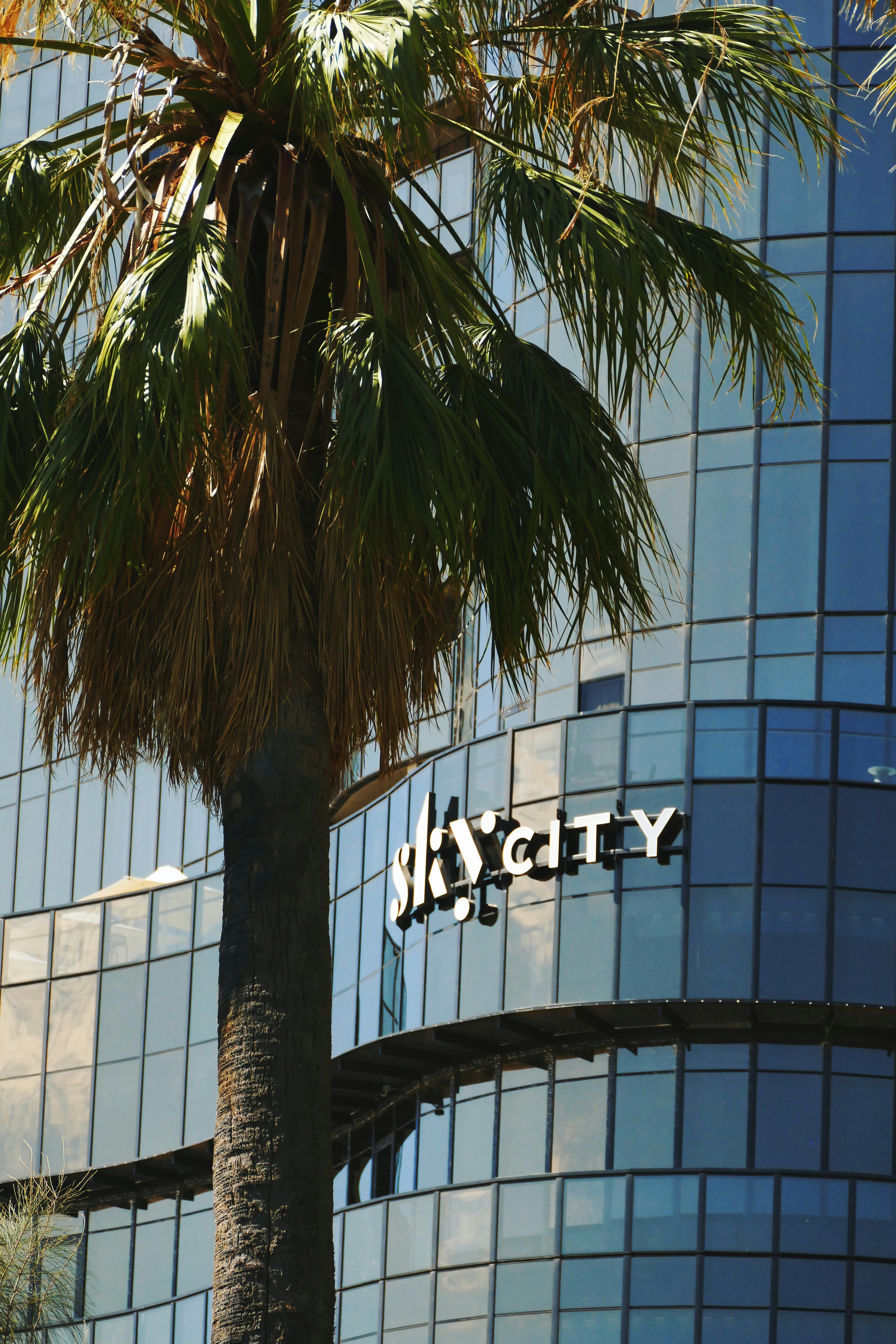 Mejores 3 empresas para AGENCIA DE IA en Utiel