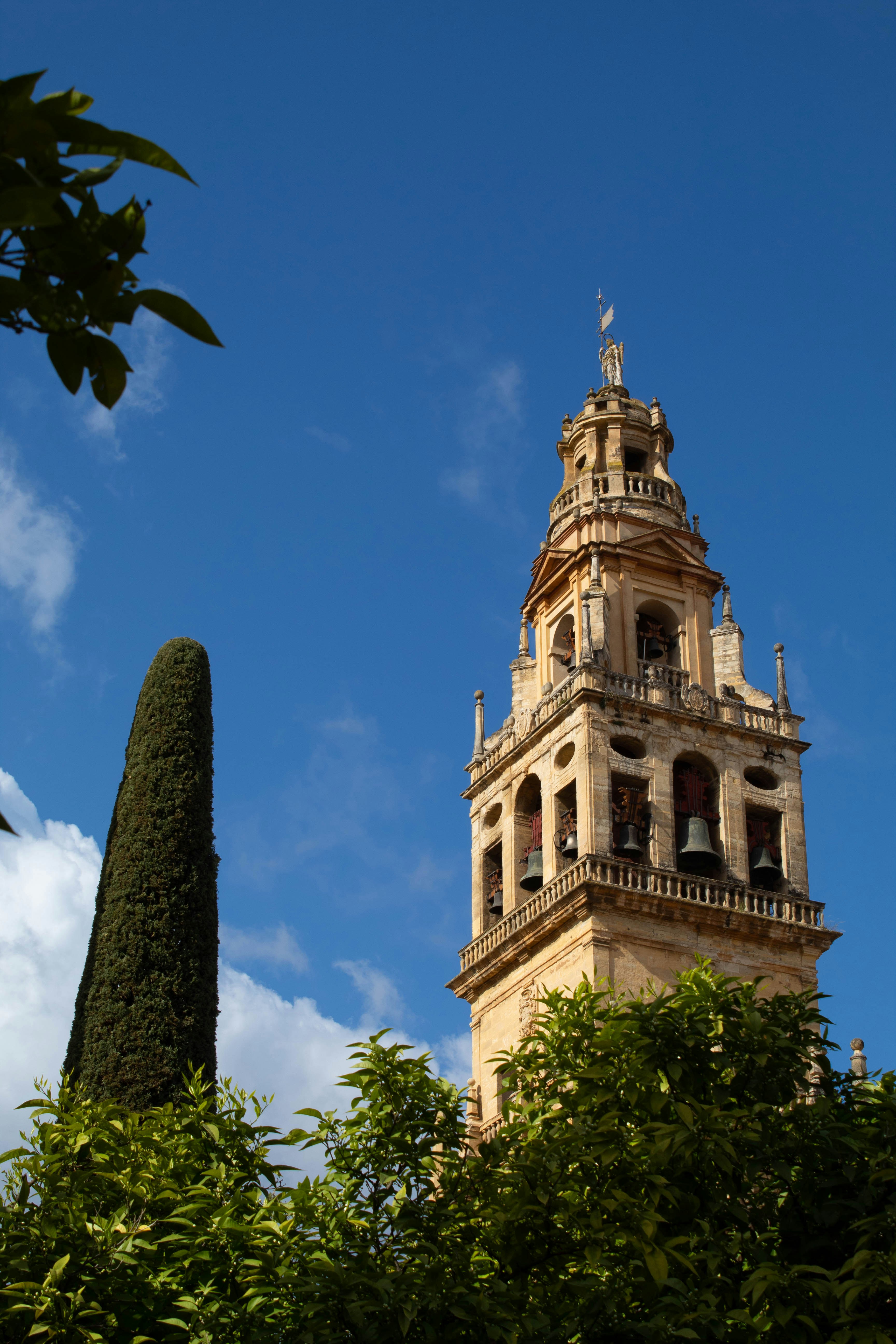 Top 100 empresas para la creación de avatares de voz AI en Córdoba