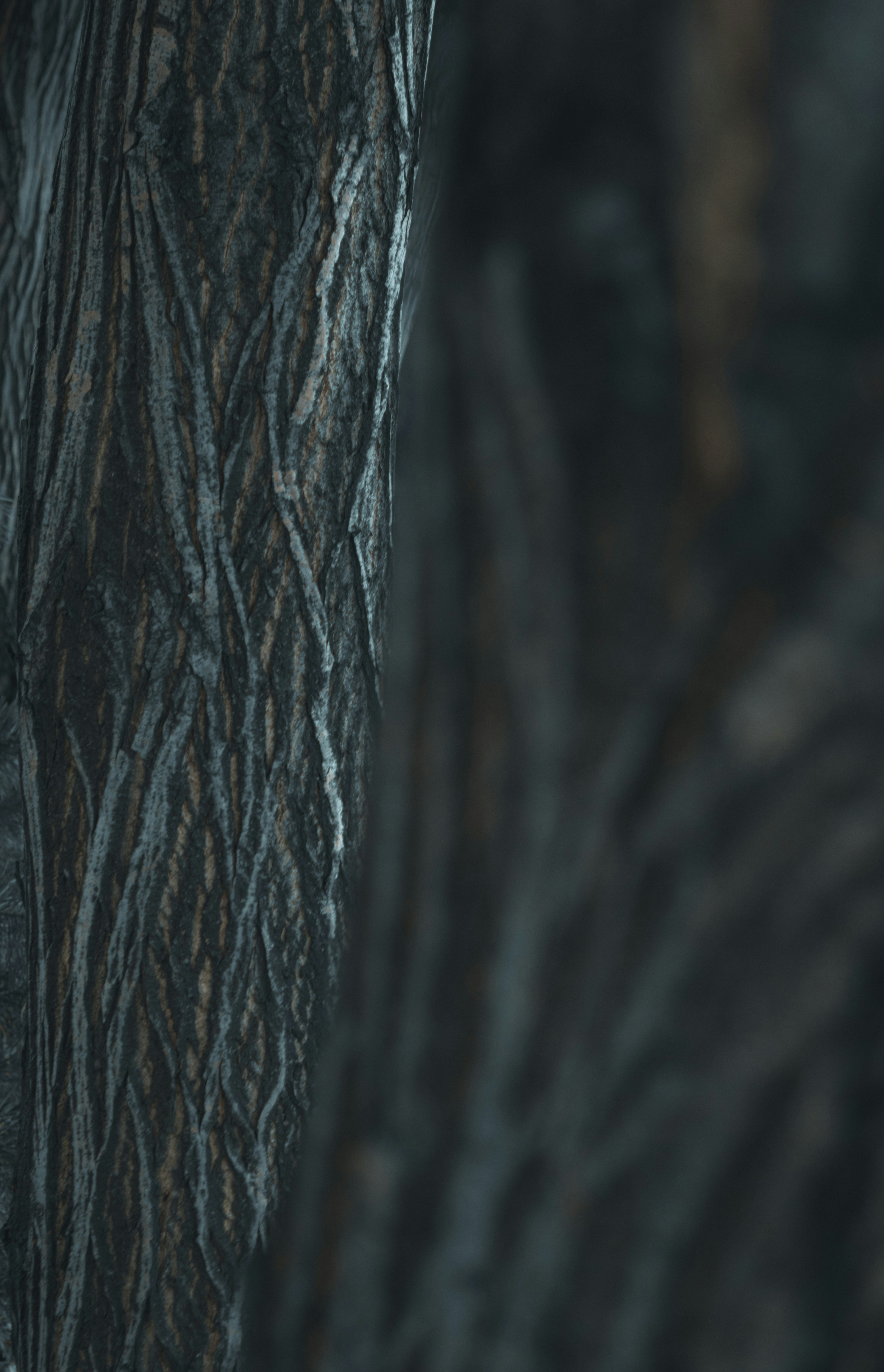 Las mejores 15 empresas de Business Intelligence en Zizur Mayor