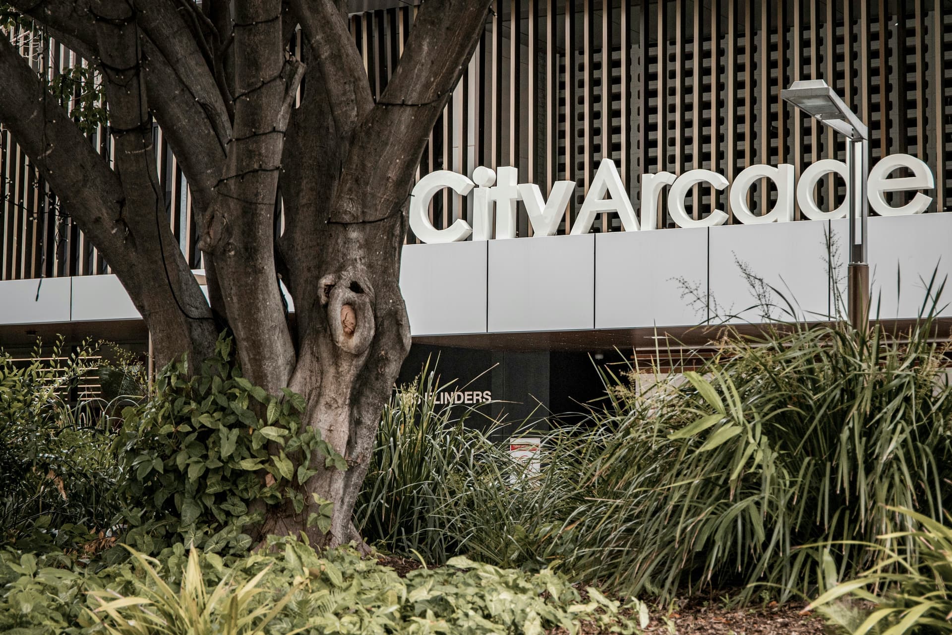 Top 50 Empresas para consultoría de software en Caravaca de la Cruz