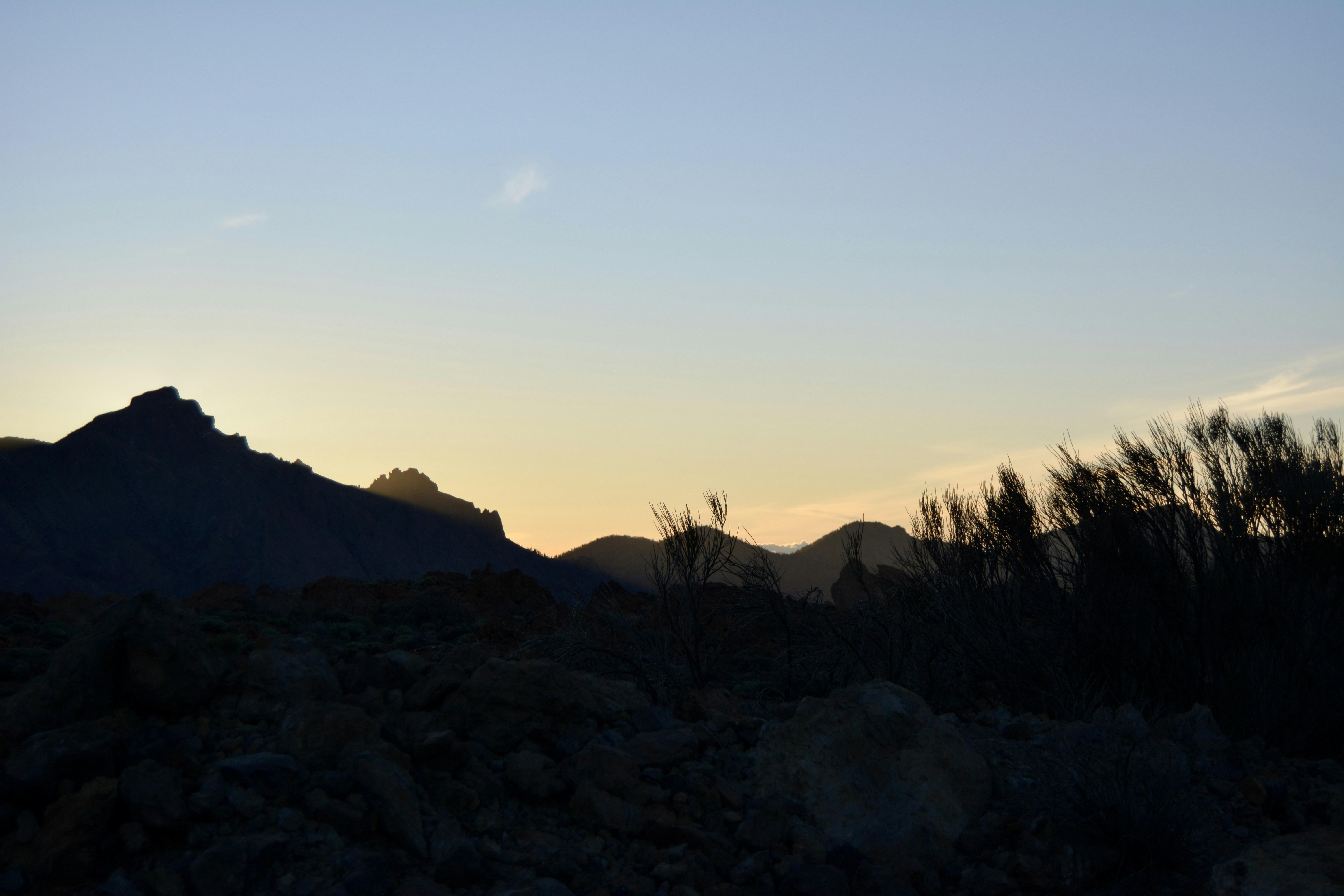 Mejores 30 empresas para sistemas telefónicos de IA en La Orotava