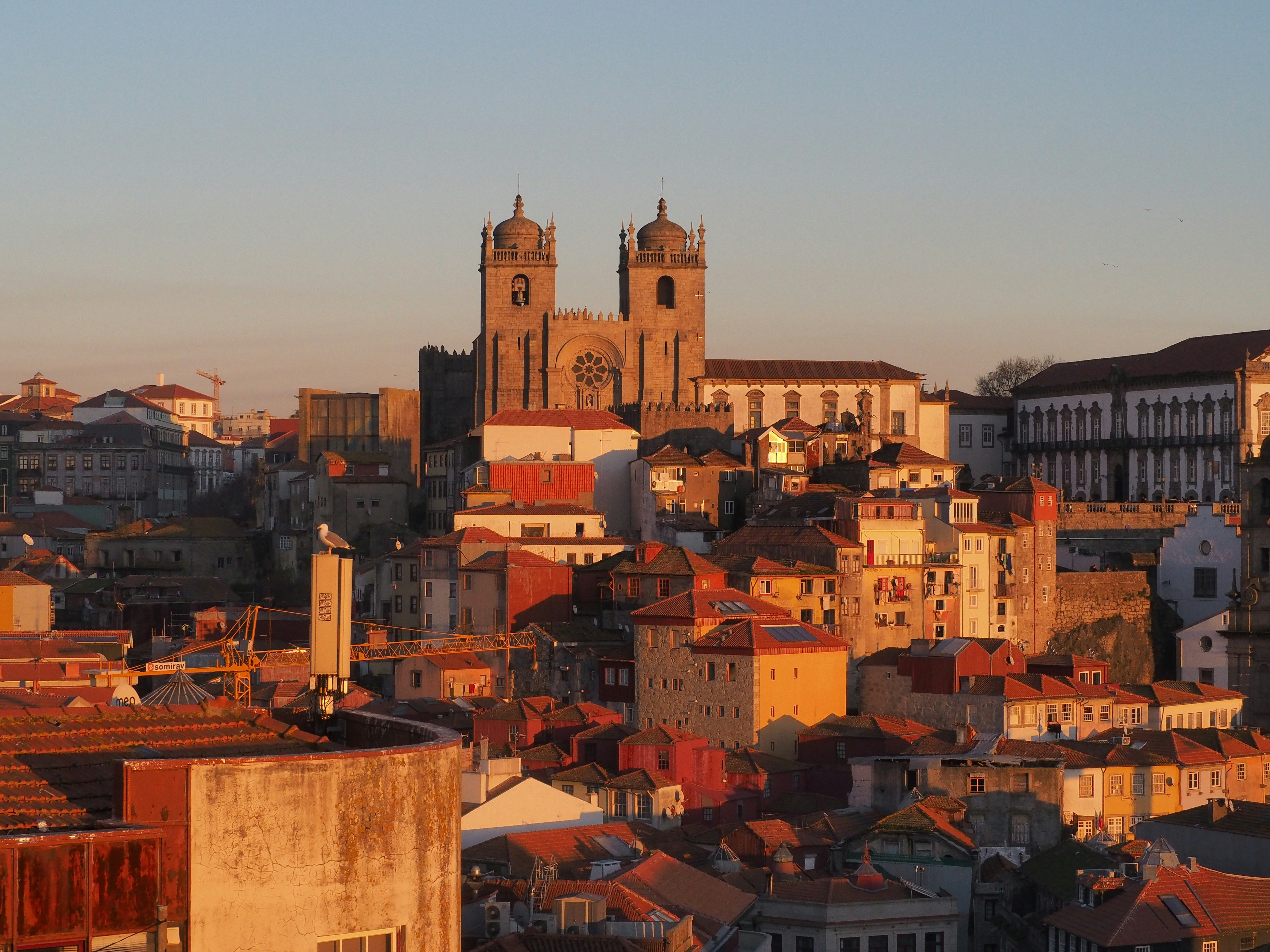 Top 20 Empresas para servicios de n8n en Burgos