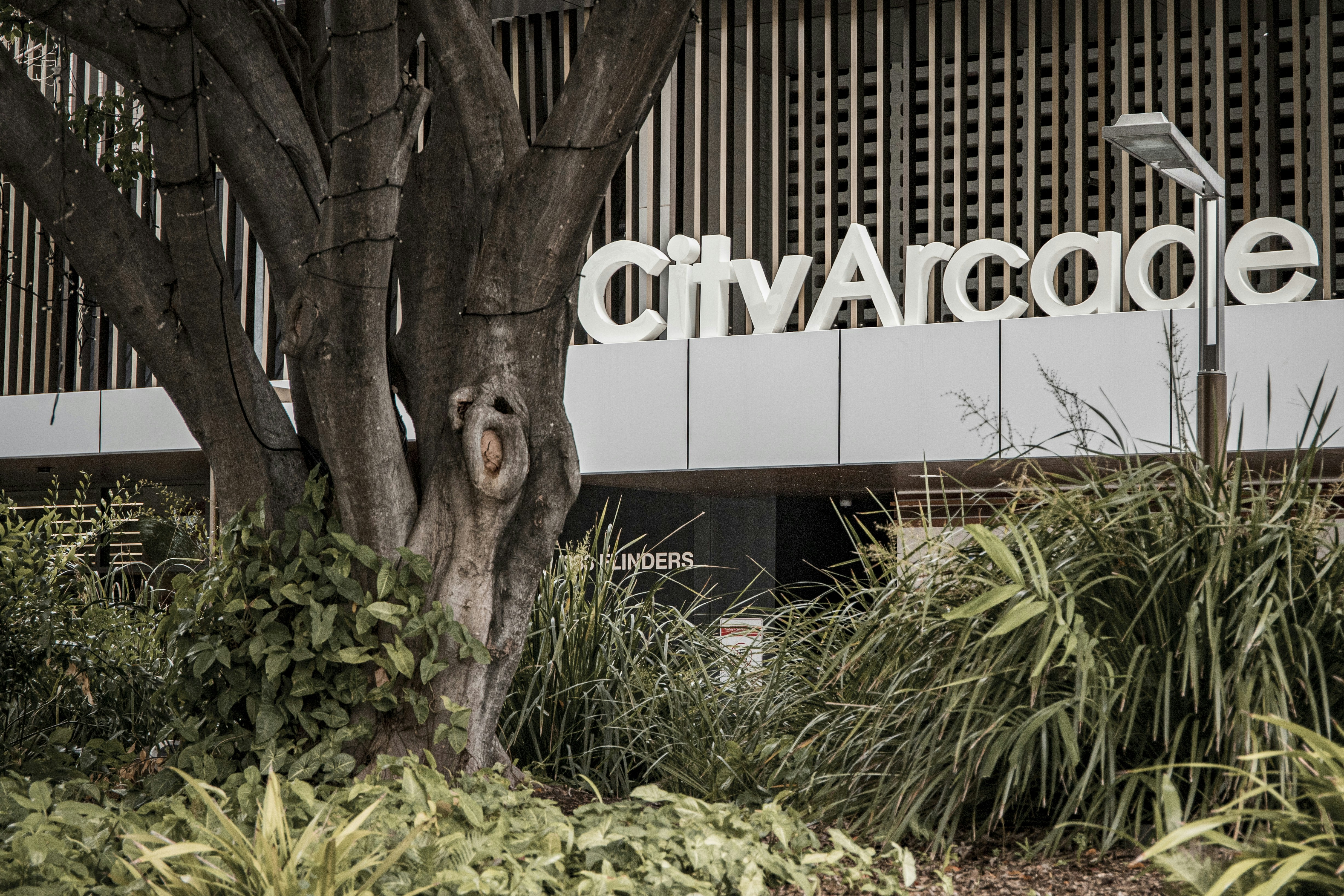 Las mejores 15 empresas de servicios de software a medida en Caravaca de la Cruz