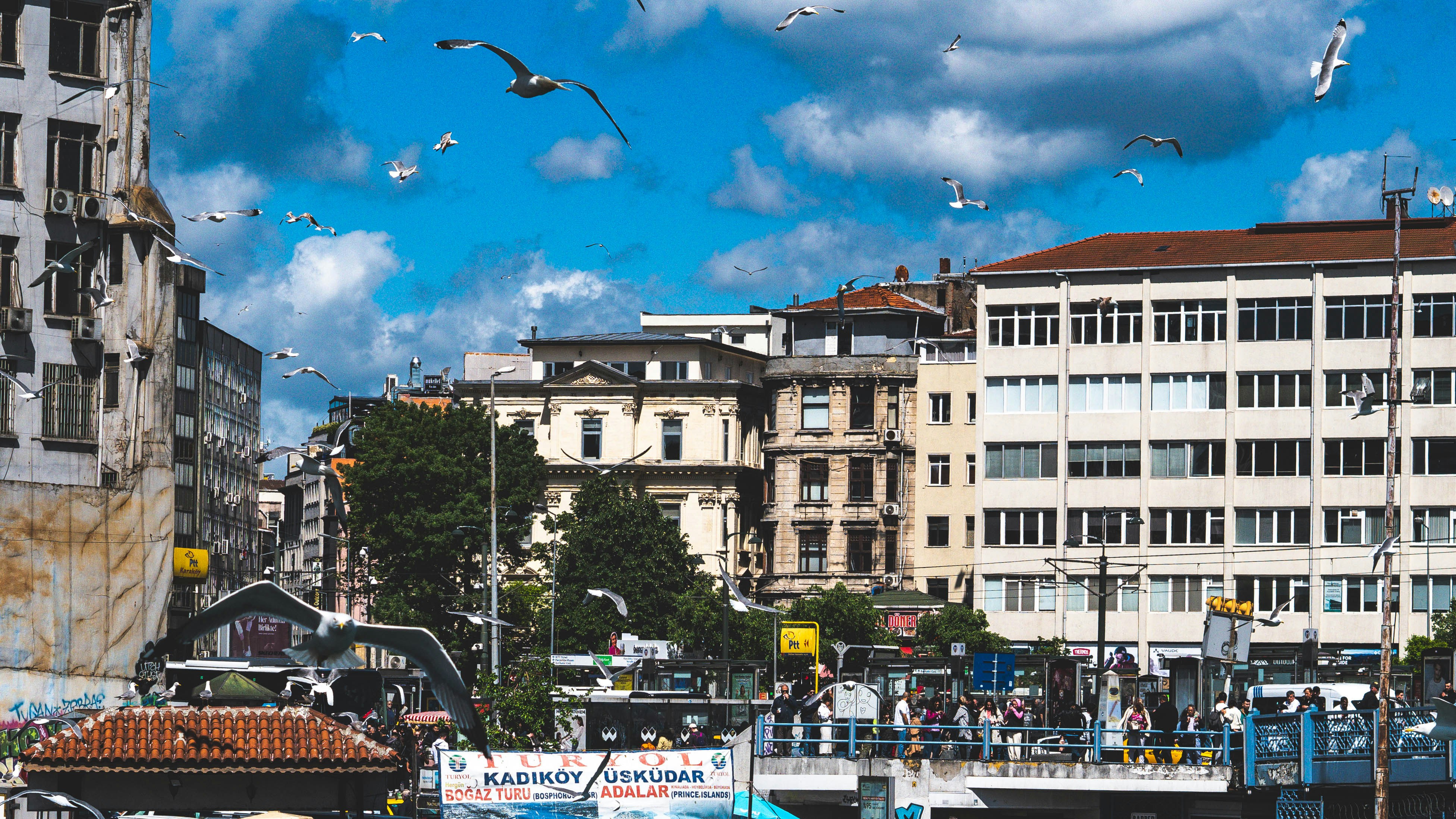 Mejores 100 empresas de software de negocios en Santurtzi