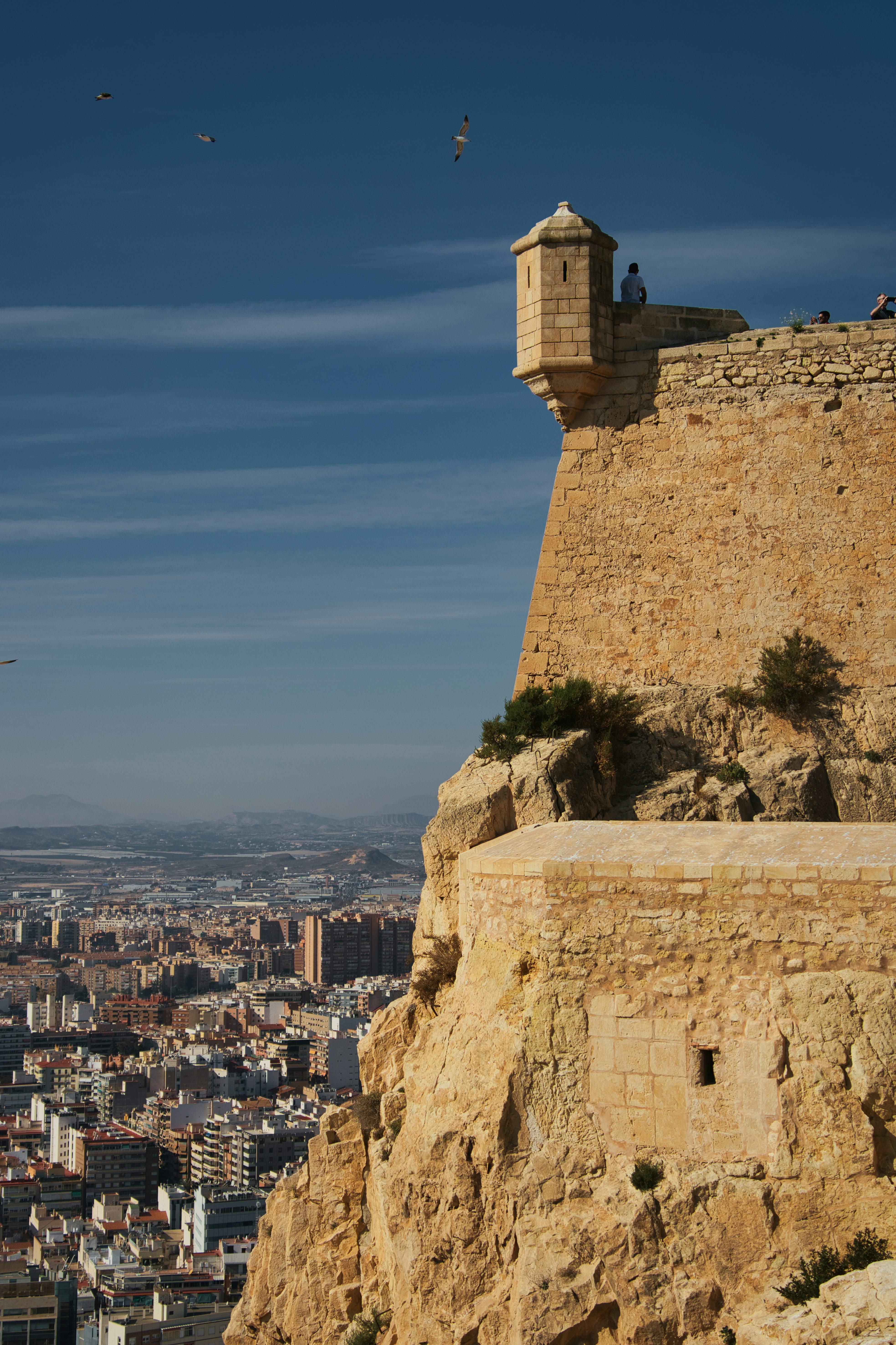 Top 50 empresas de software empresarial en Alicante