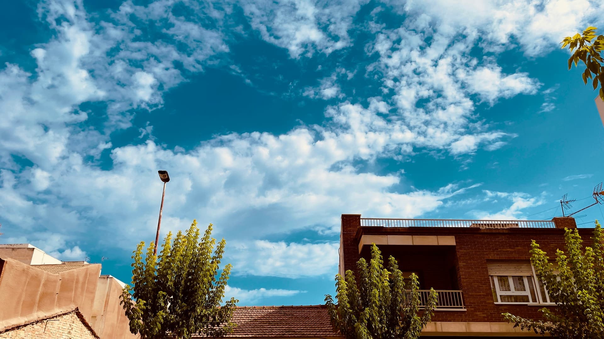 Top 20 Empresas de Software en Torrevieja