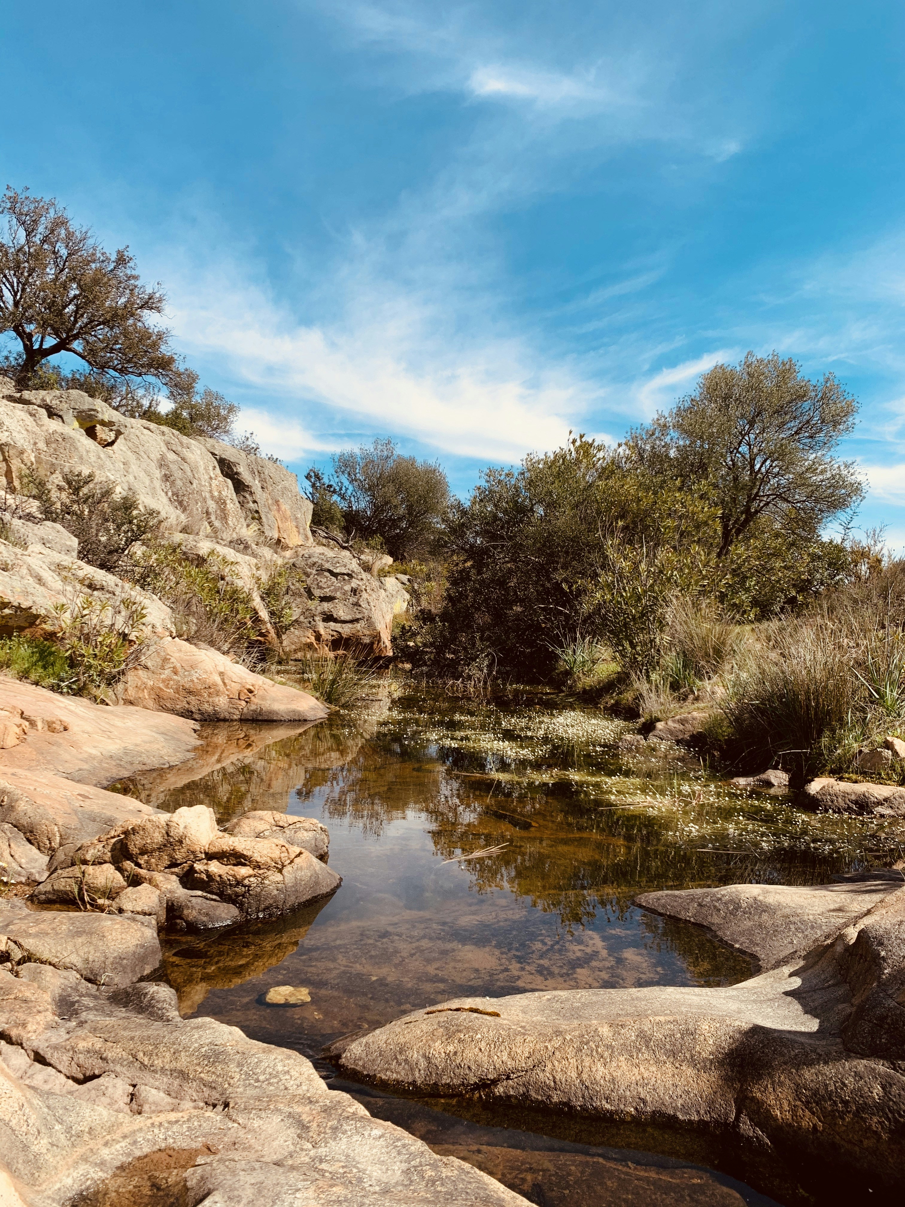 Top 15 Empresas de soluciones de software web en Don Benito