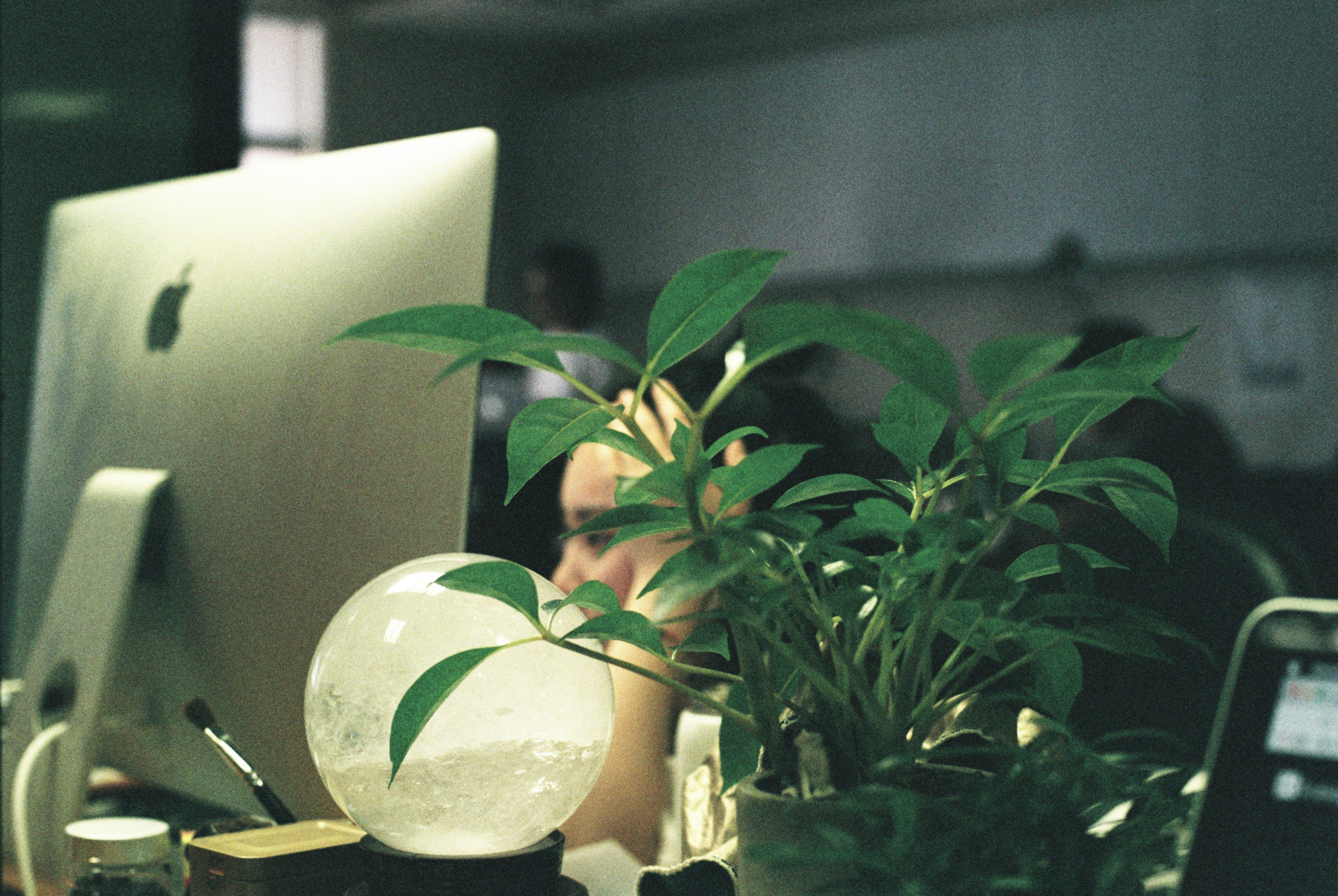 Top 5 Empresas de soluciones de software web en Miranda de Ebro