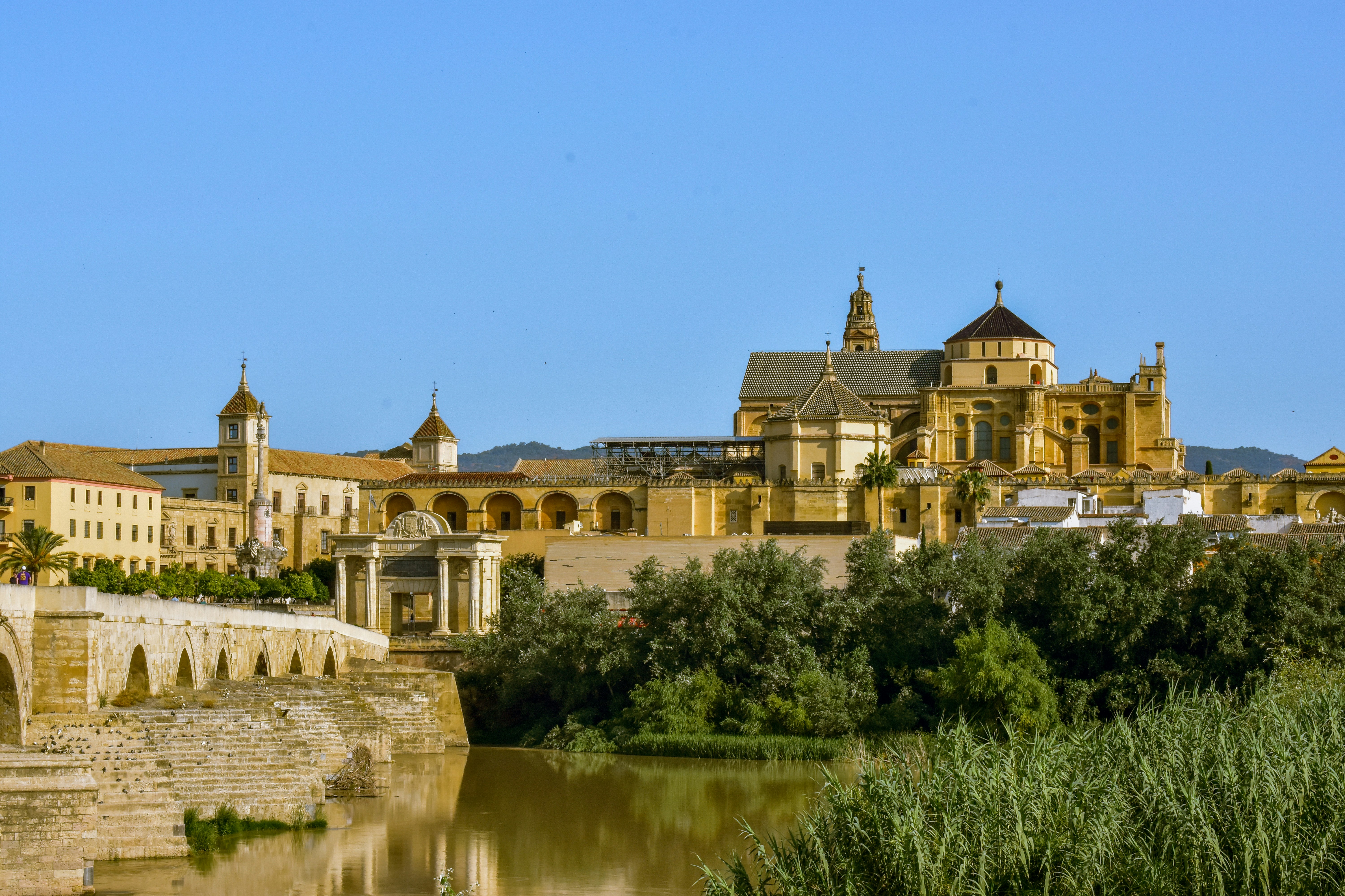 Las mejores 50 empresas de soluciones de software web en Córdoba