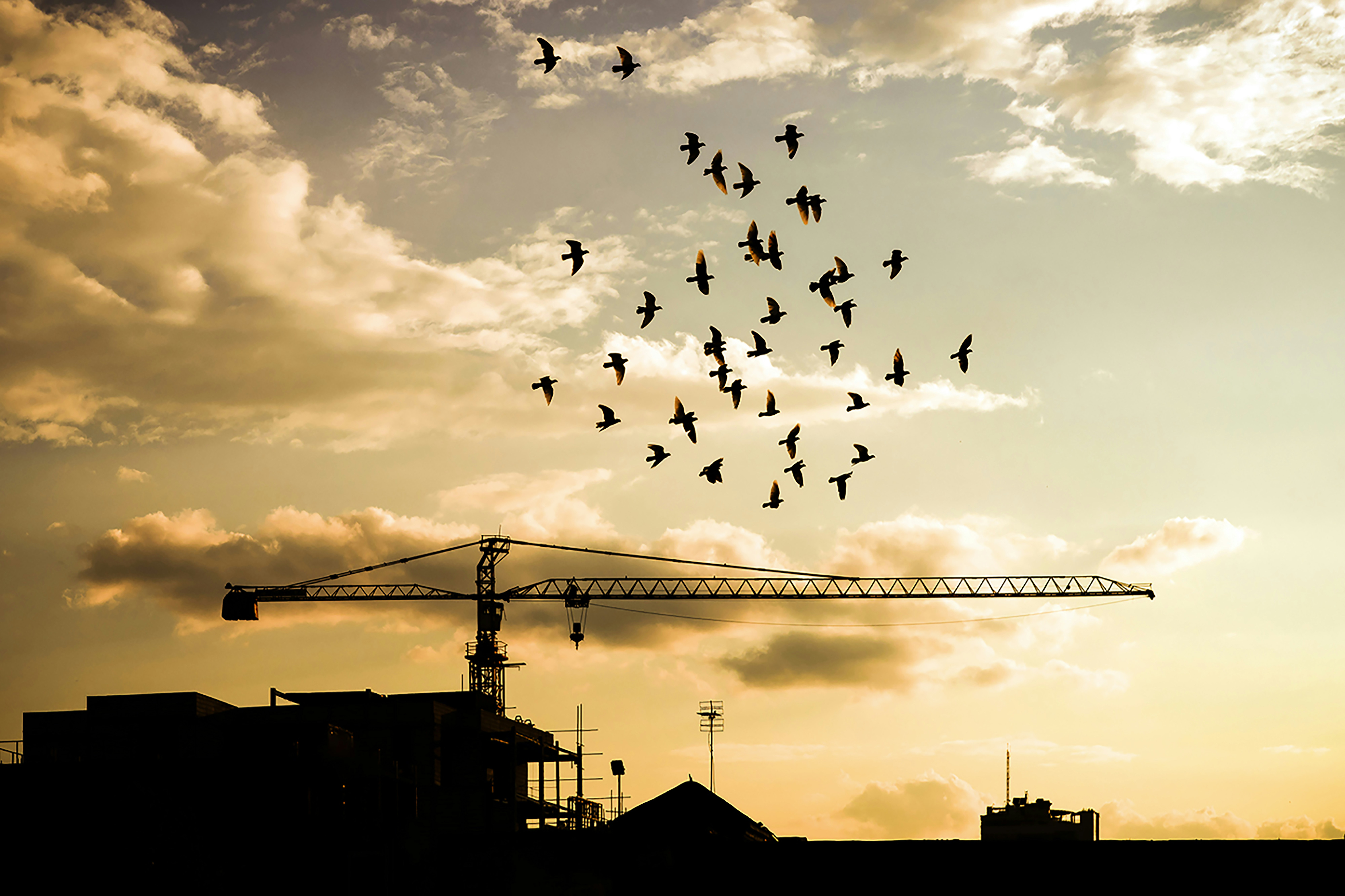 Top 30 Compañías para el desarrollo y gestión de pasarelas de API en Palma