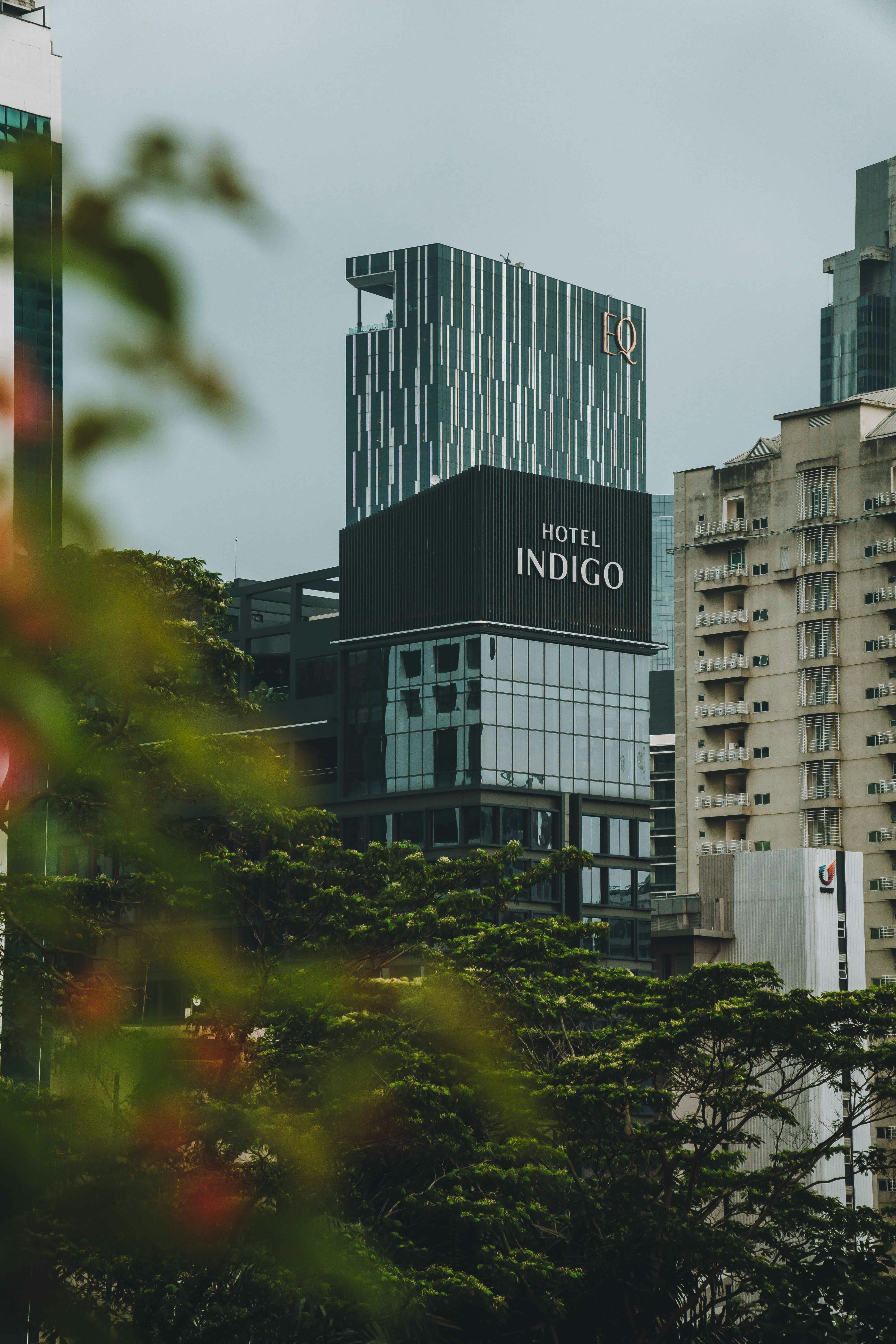 Las 100 mejores empresas para el desarrollo de flujos de trabajo n8n en Erandio