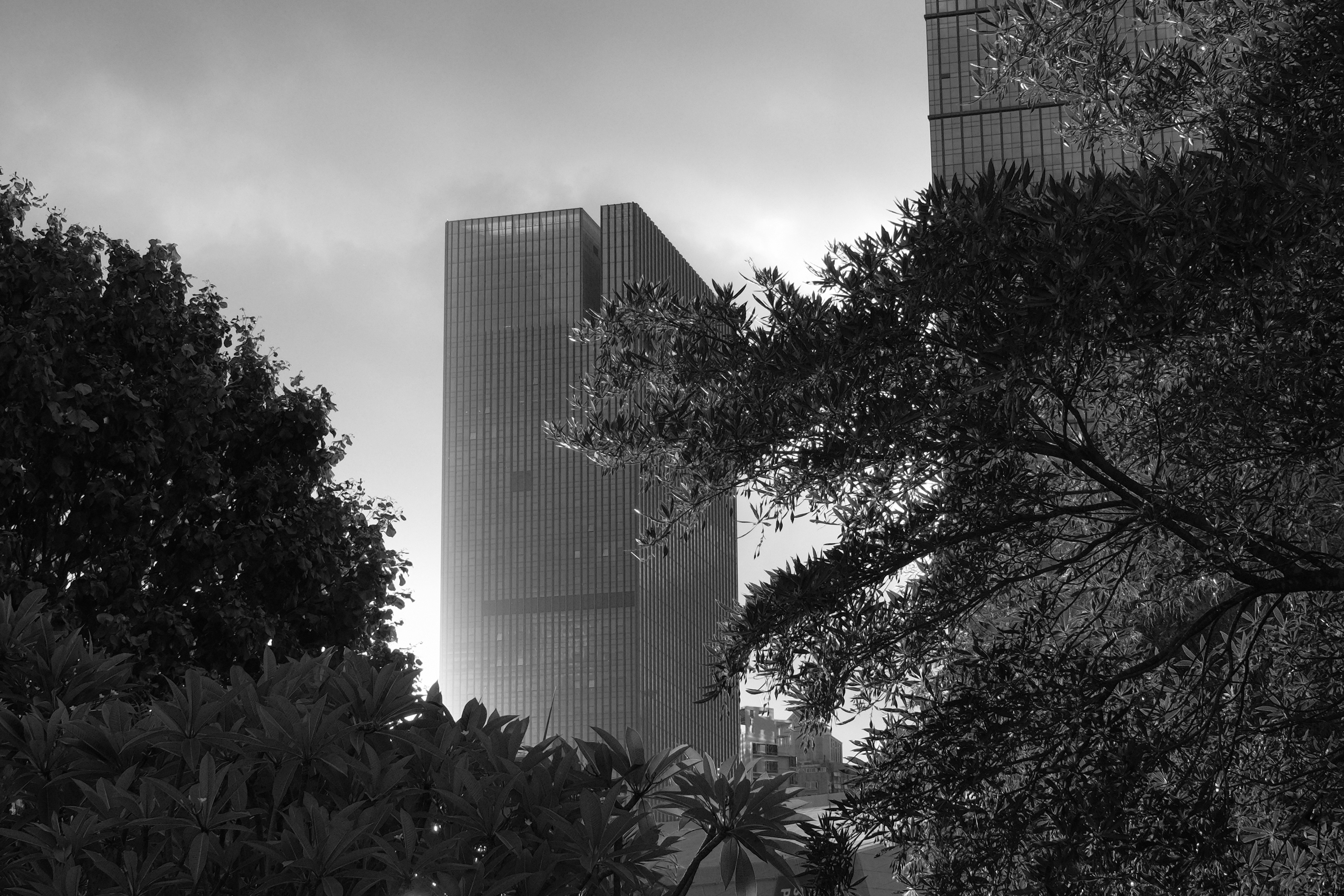 Top 3 Empresas para n8n en Mérida