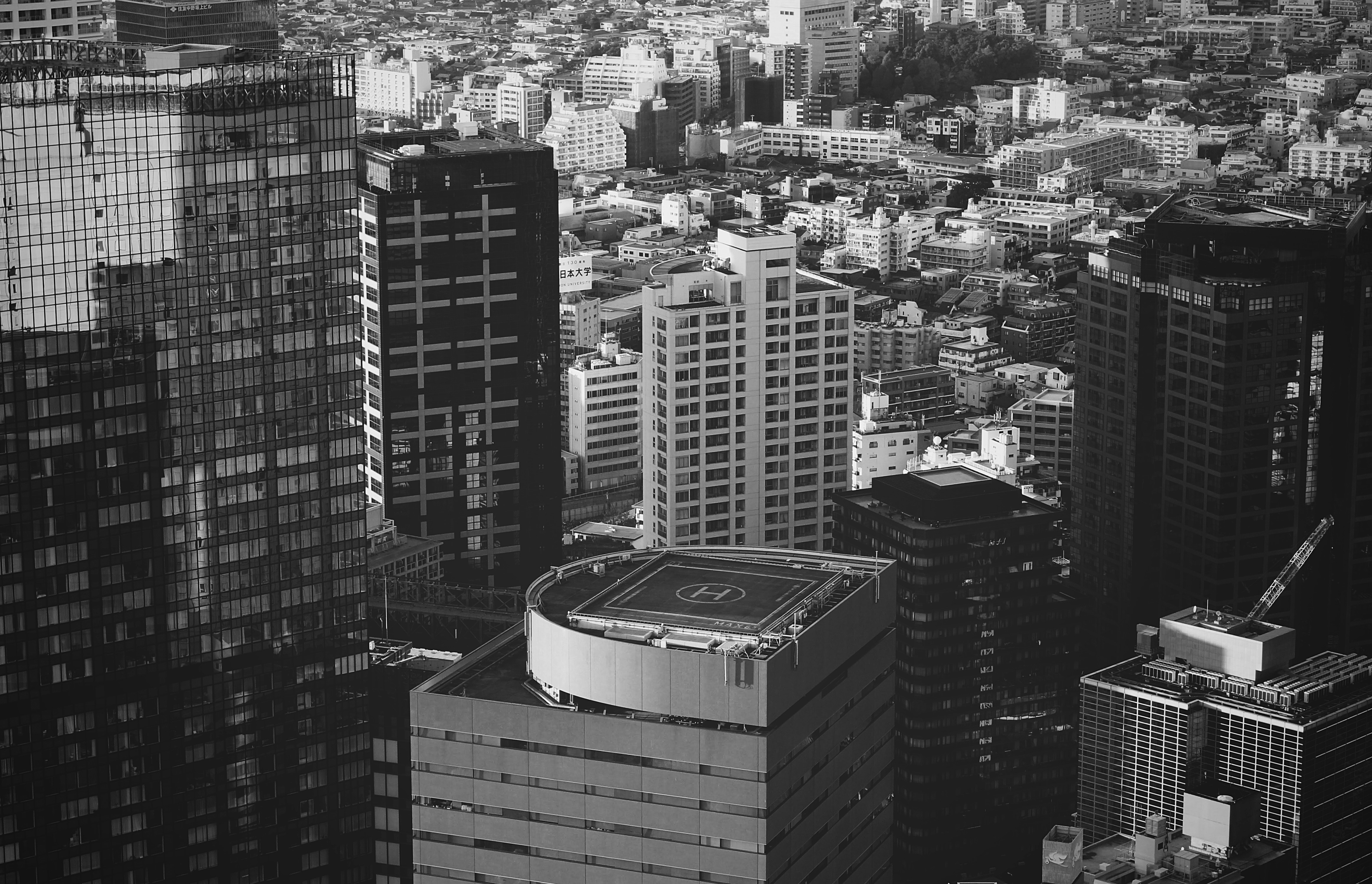 Top 10 Soluciones de desarrollo de programas de gestión personalizados en la empresa