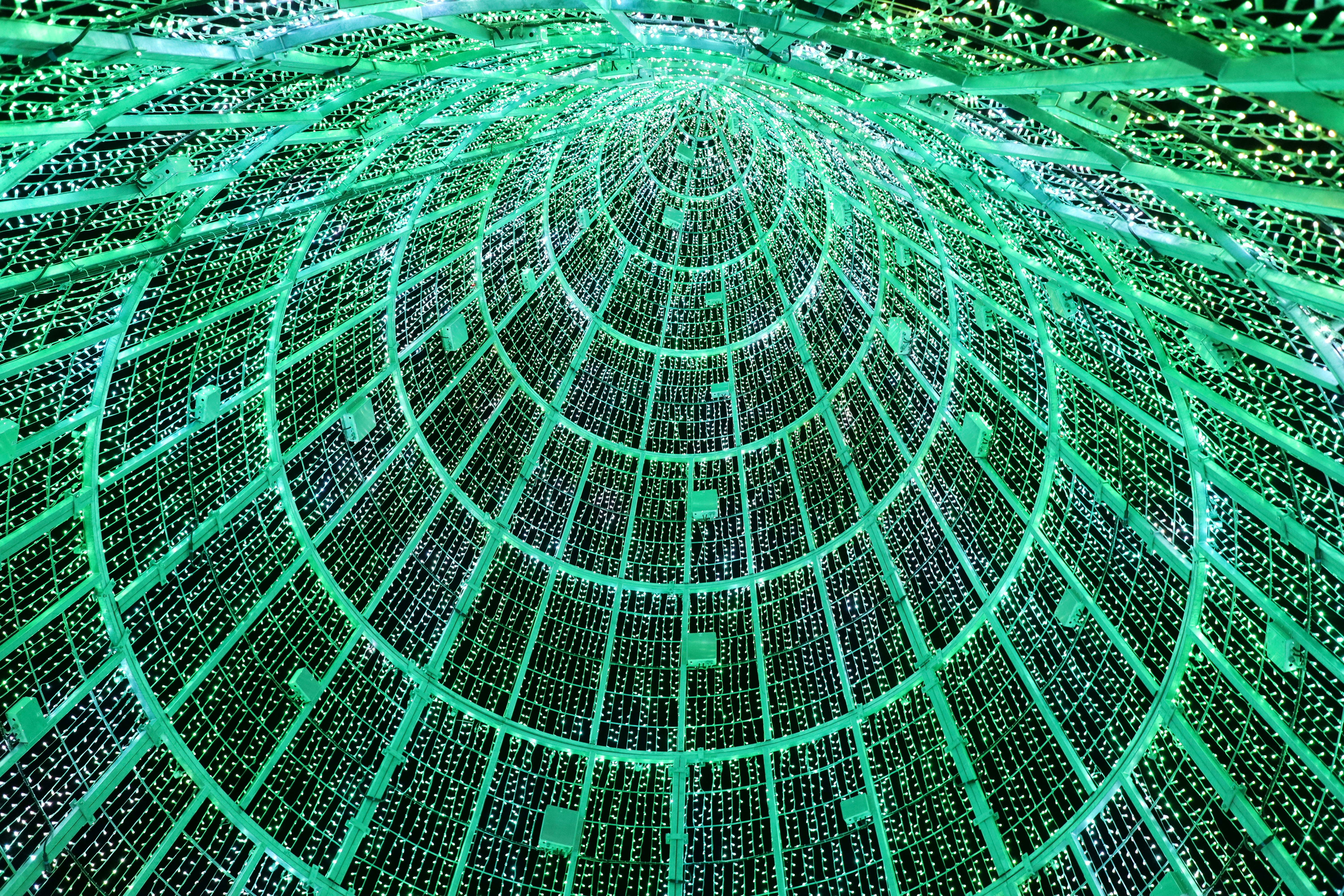 Ana Inês Inácio diseña el futuro de la tecnología inalámbrica