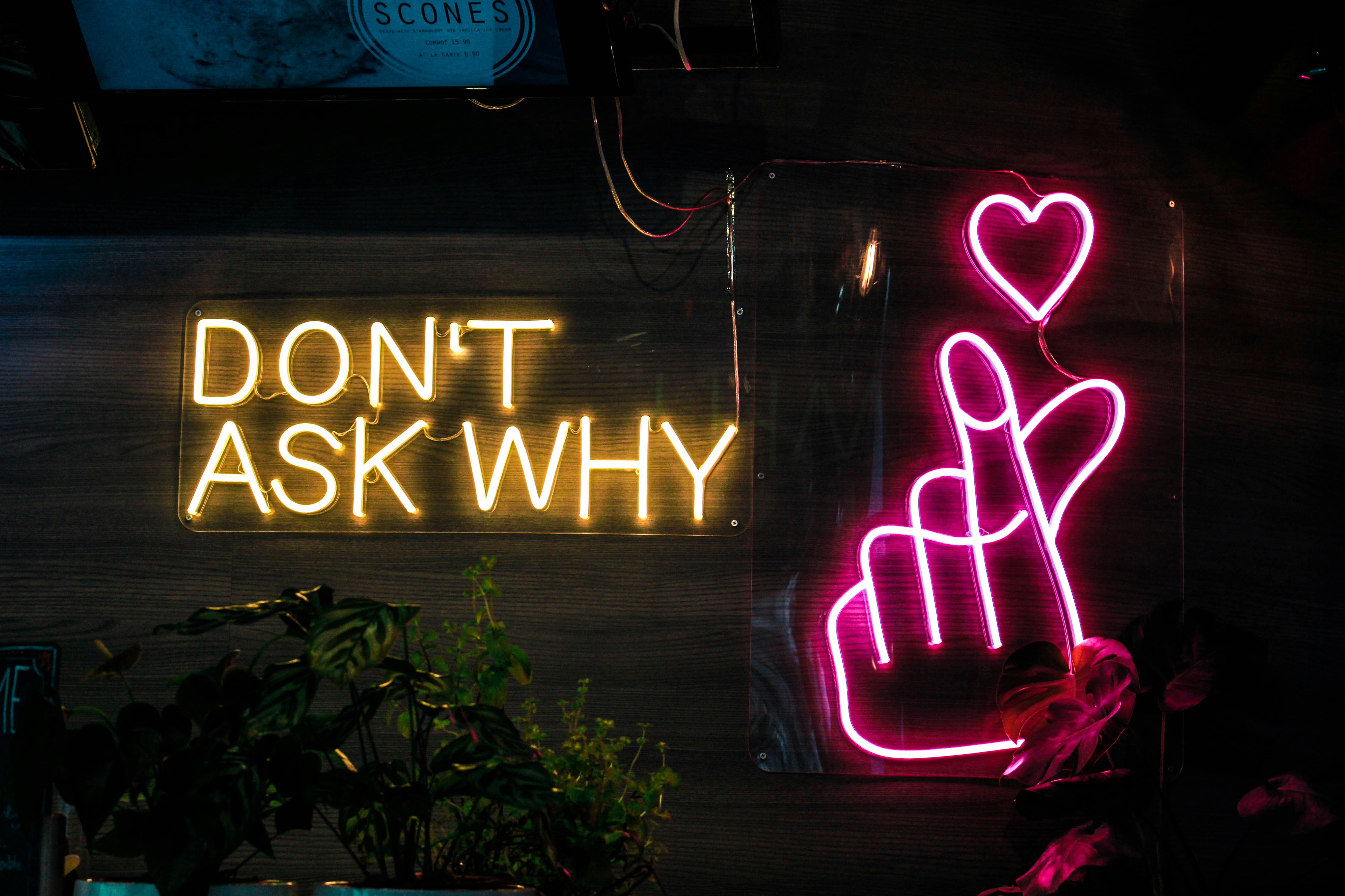 ¿Qué preguntas debo hacer antes de adoptar el desarrollo de IA conversacional?