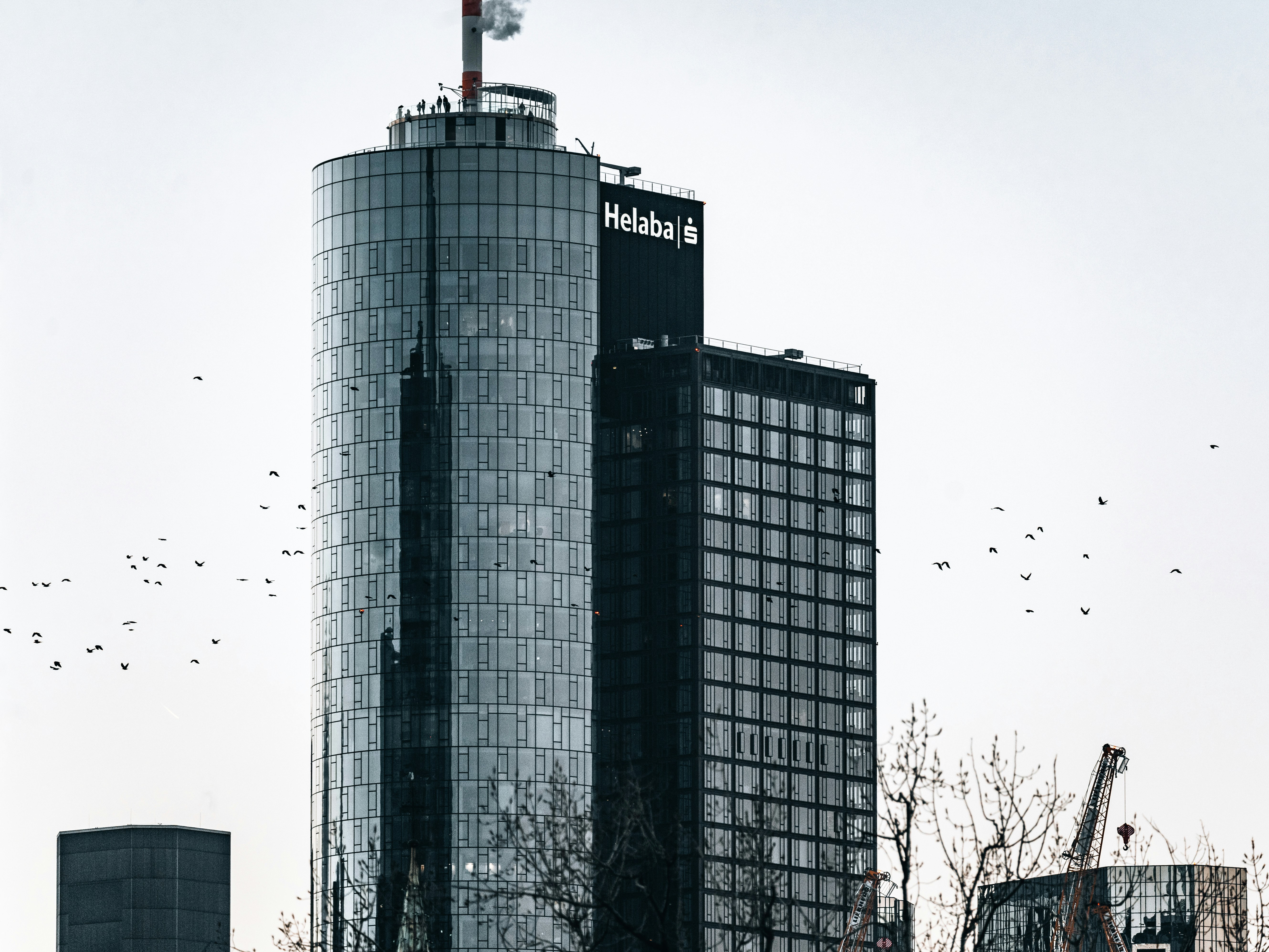 Mejores 100 empresas para n8n en Europa