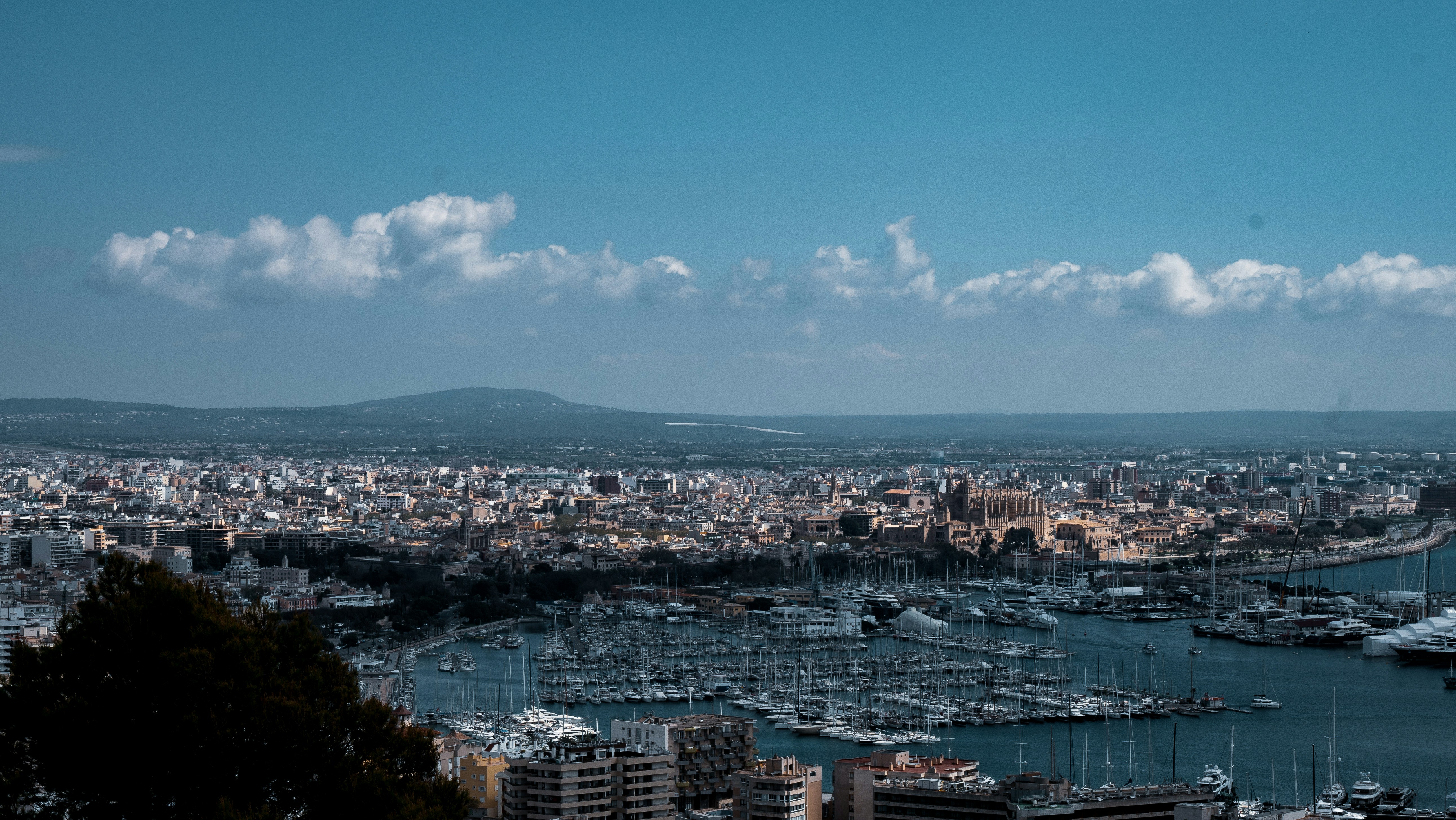 Los 10 mejores expertos en chatbot de IA para negocios en Palma