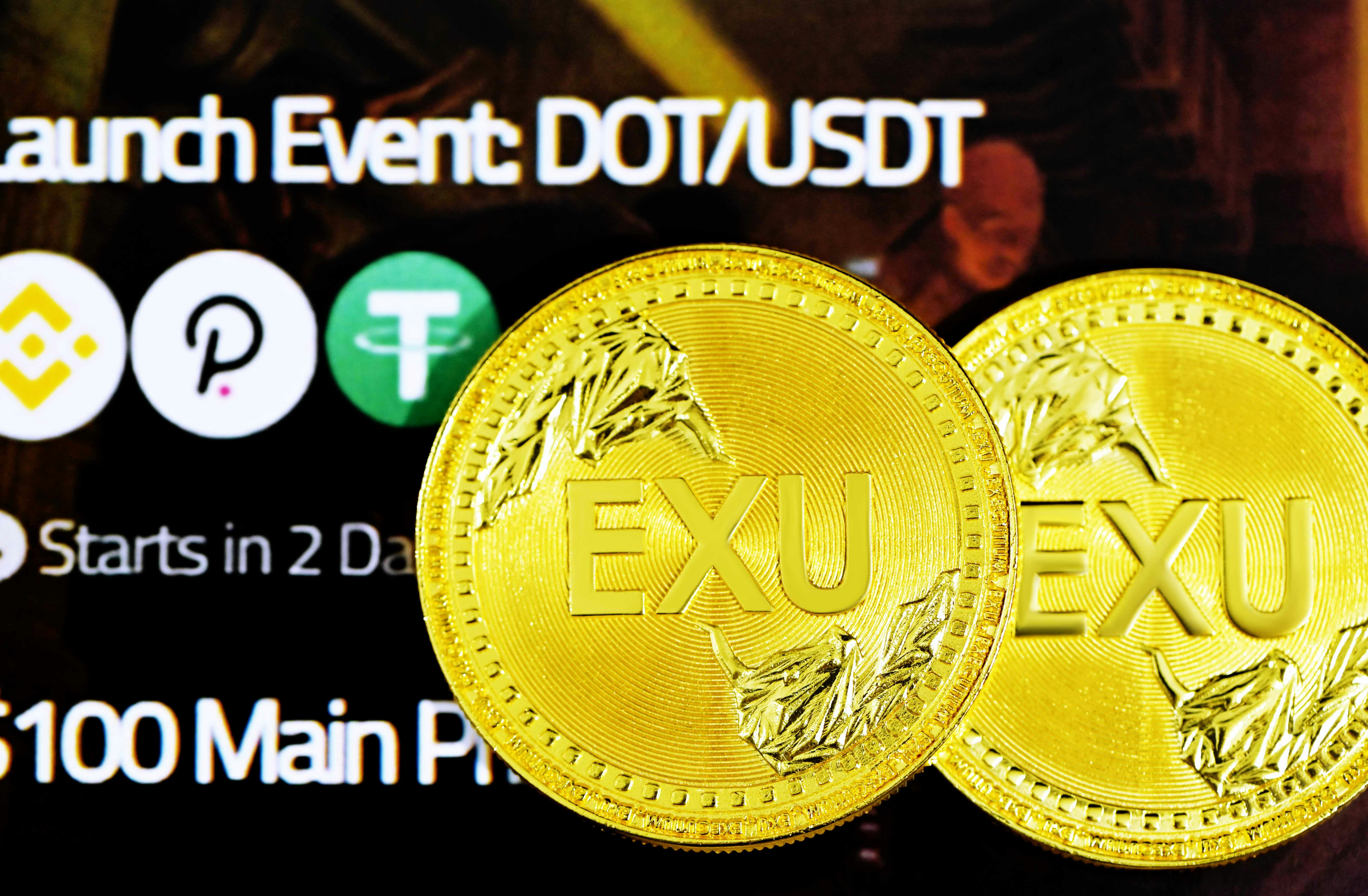 Top 100 expertos en desarrollo por horas y tokens en Elche