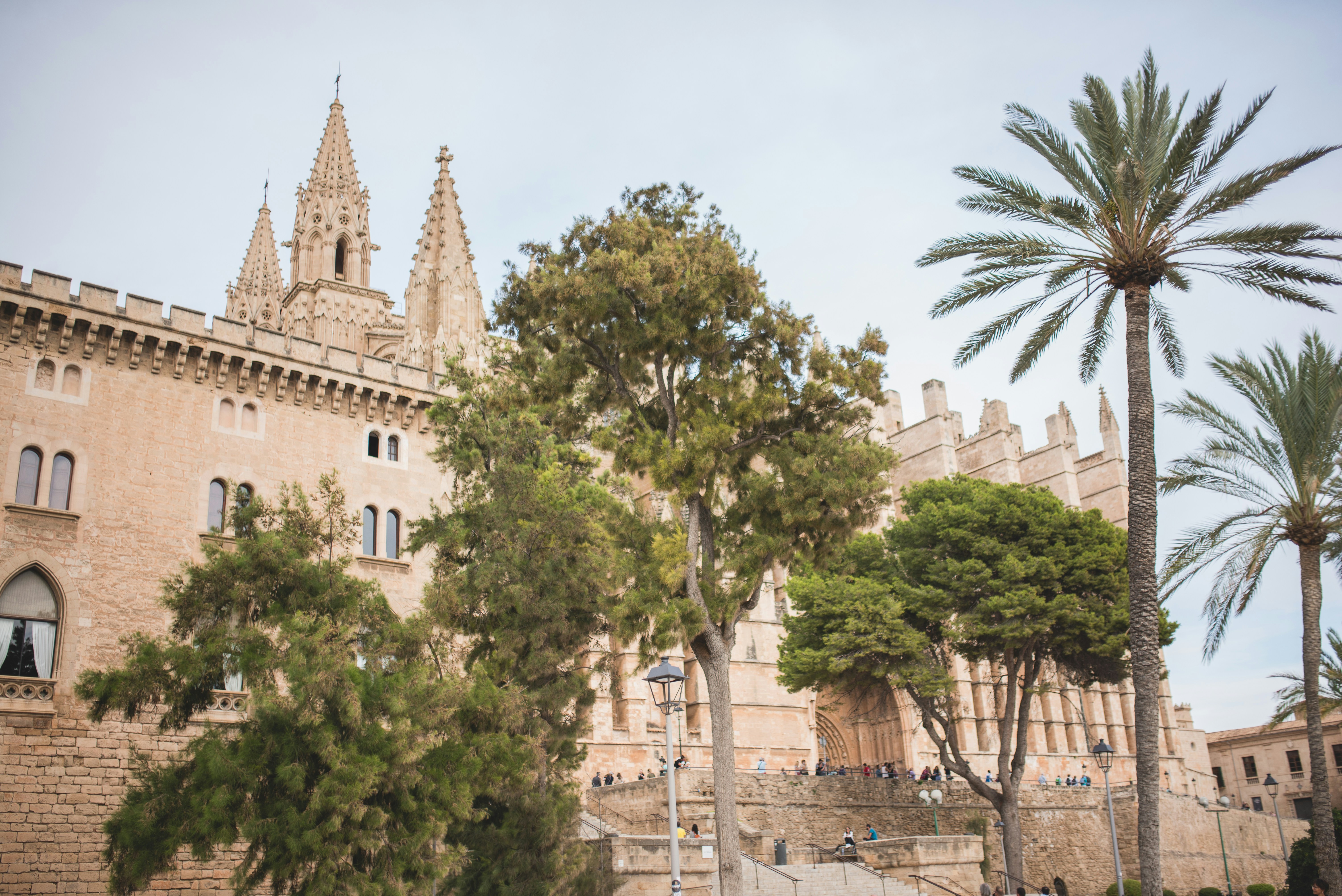 Top 5 expertos en IA conversacional en Palma