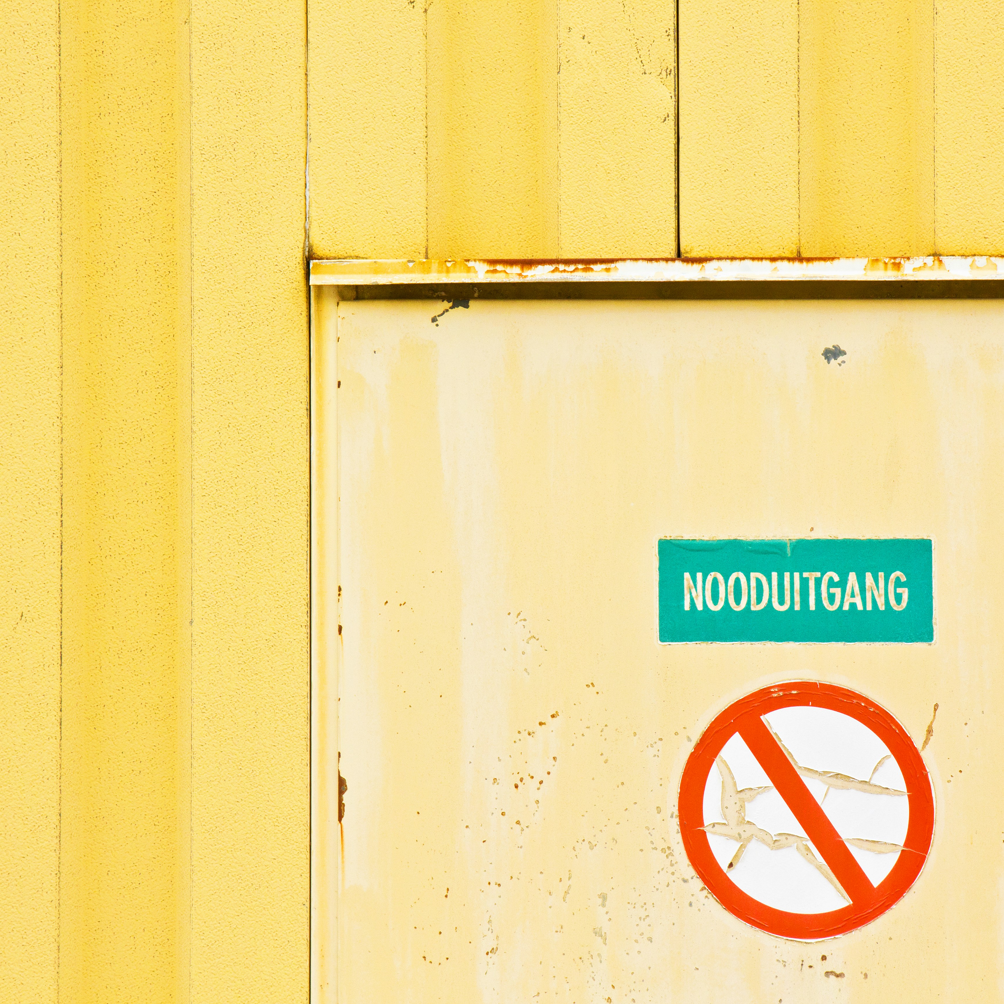 7 Pasos Esenciales para Implementar Aplicaciones de Gestión Personalizadas en la Empresa: PYMEs 2024