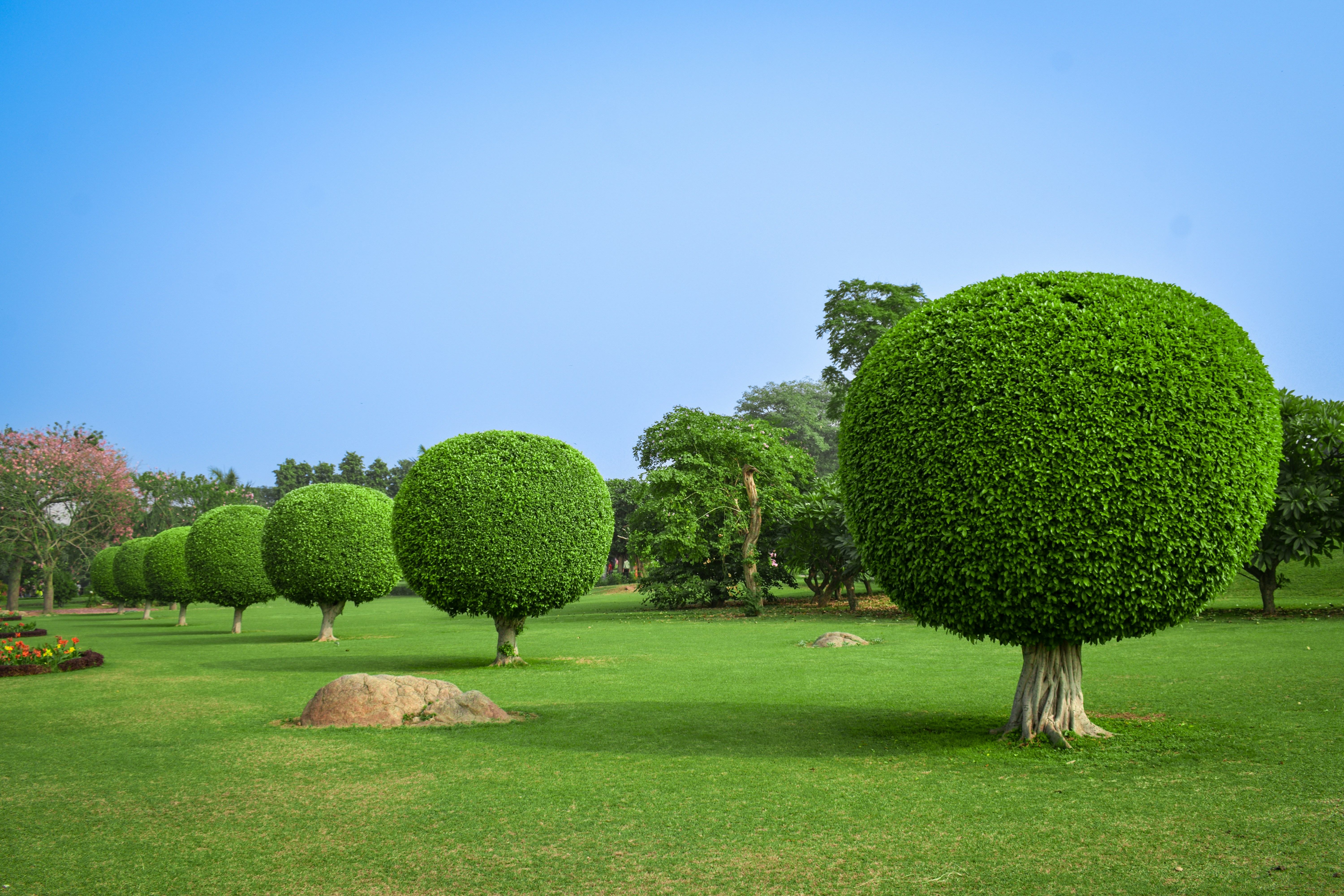 Cómo se benefician las empresas de jardinería del software personalizado para la gestión en 2024