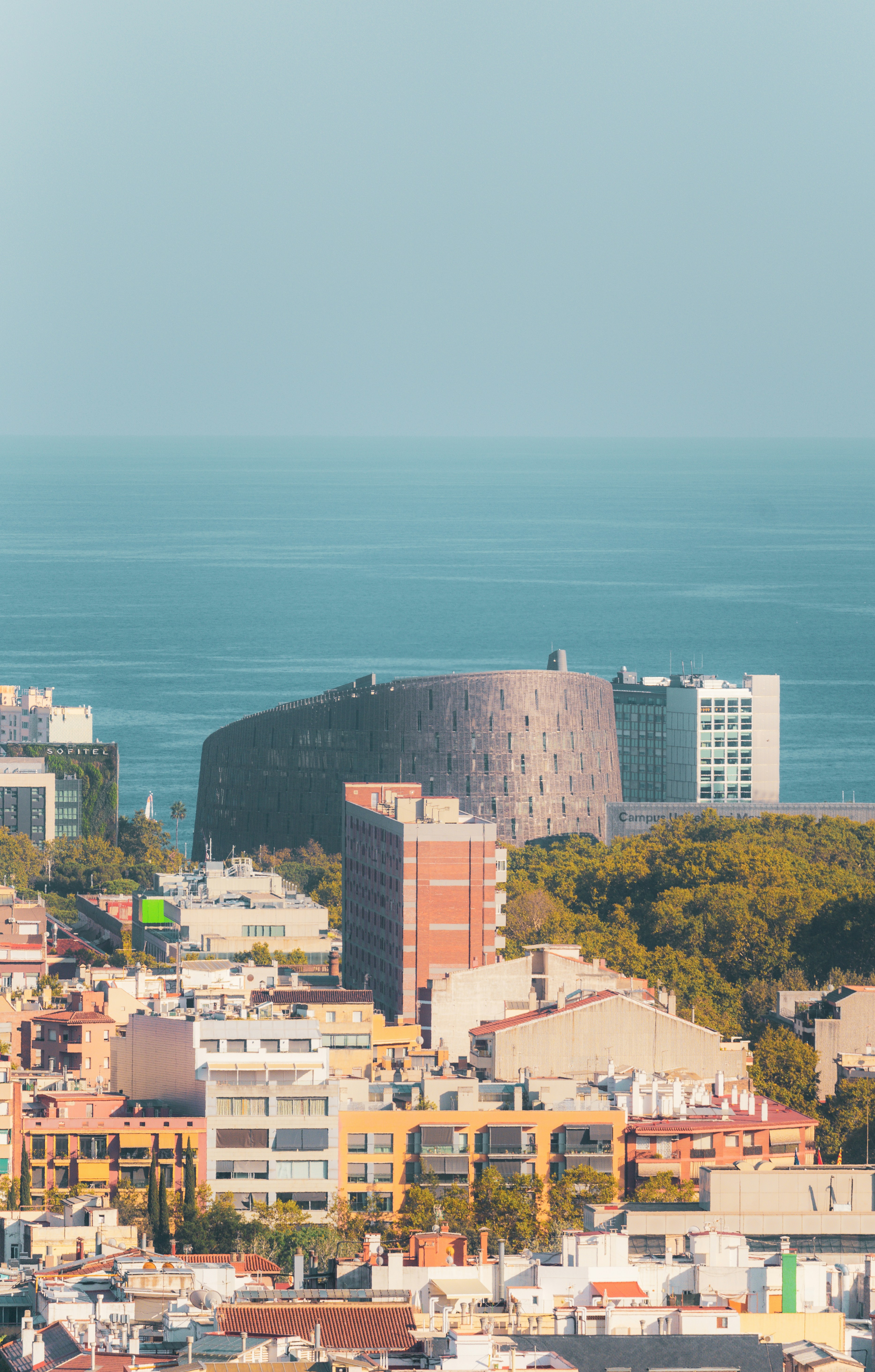 Los 3 mejores expertos en chatbot de IA para negocios en Barcelona