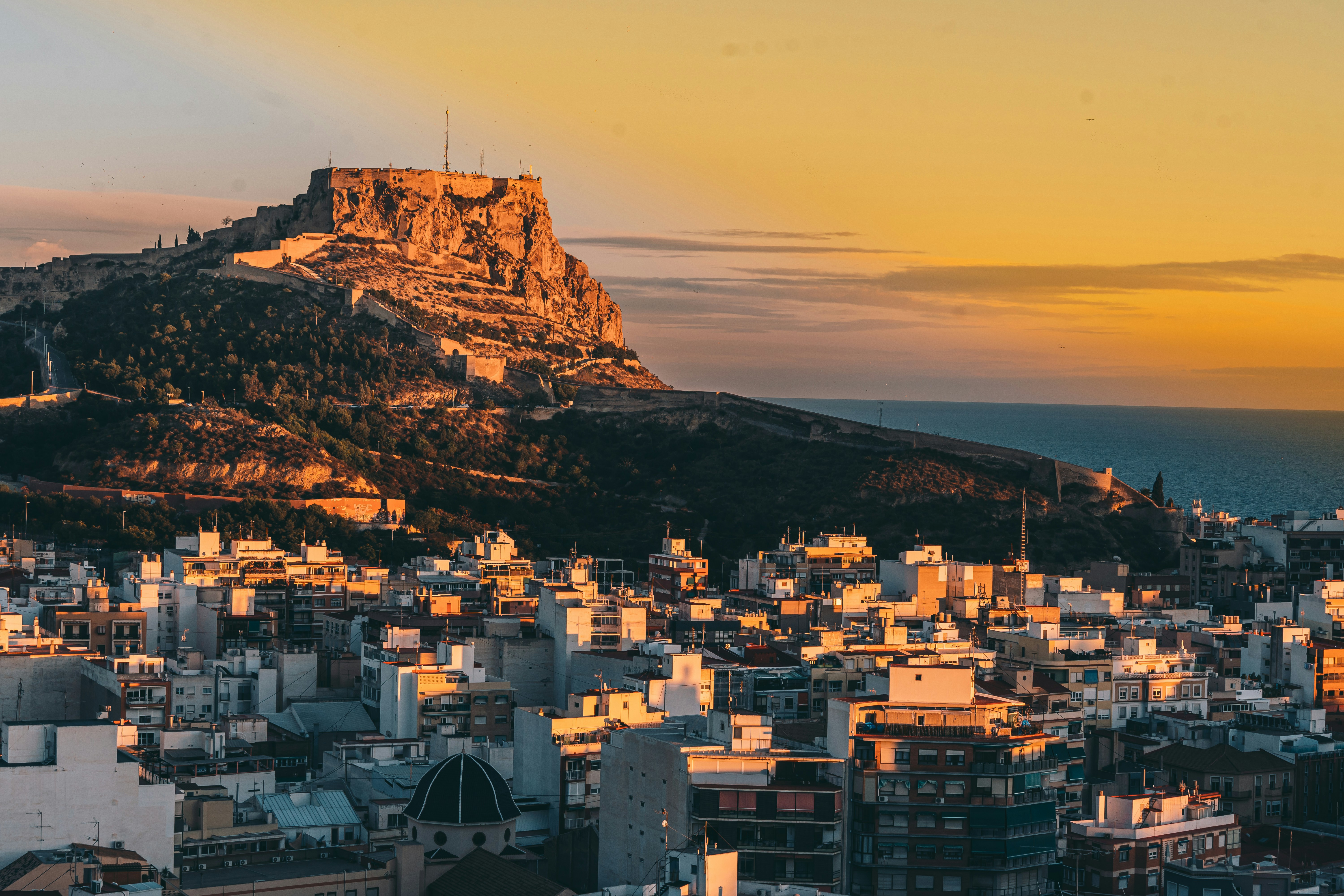 Top 5 expertos en desarrollo de IA conversacional en Alicante