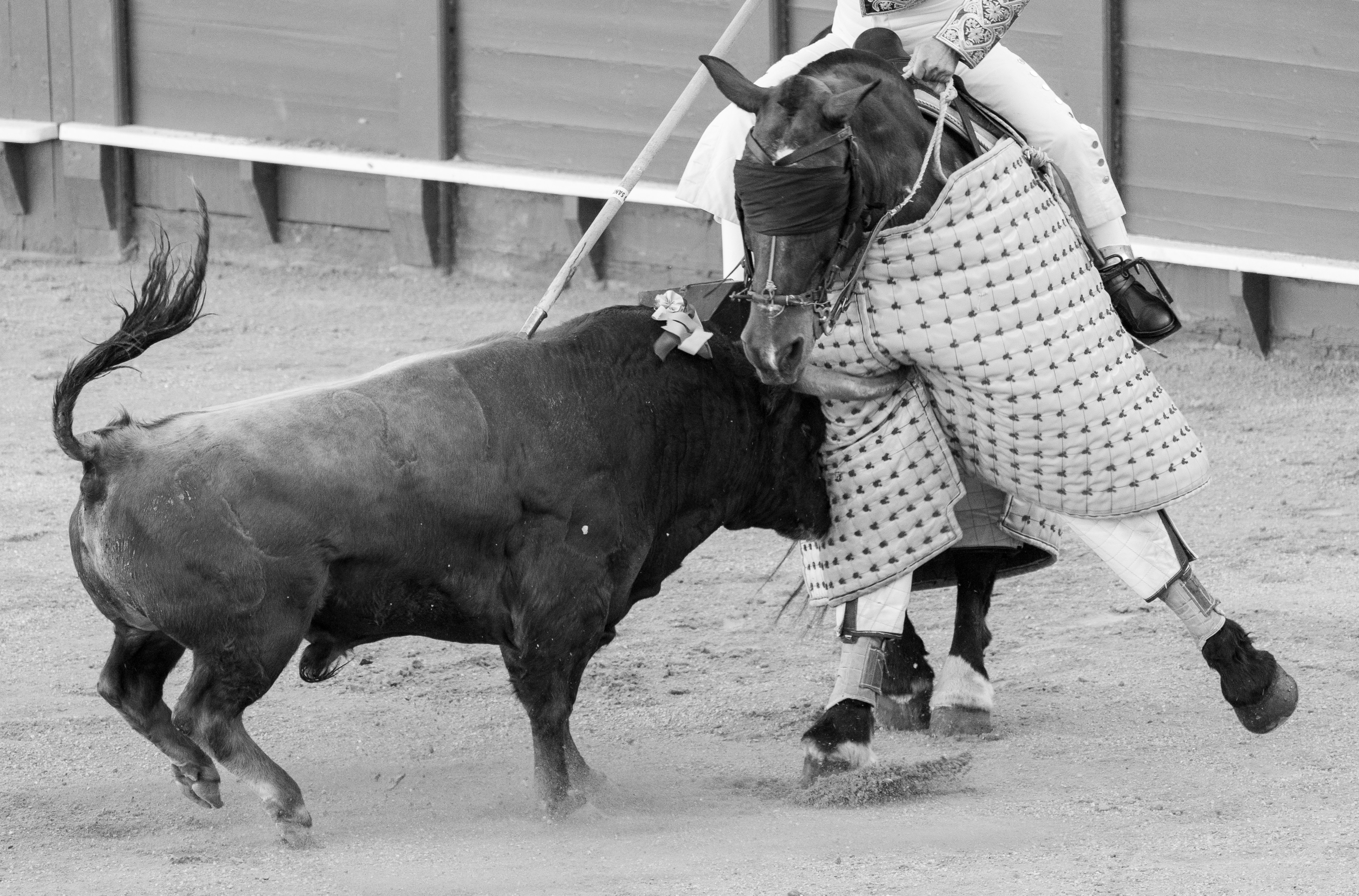 Modelos de difusión post-entrenamiento para control continuo de recompensas en ParetoSlider