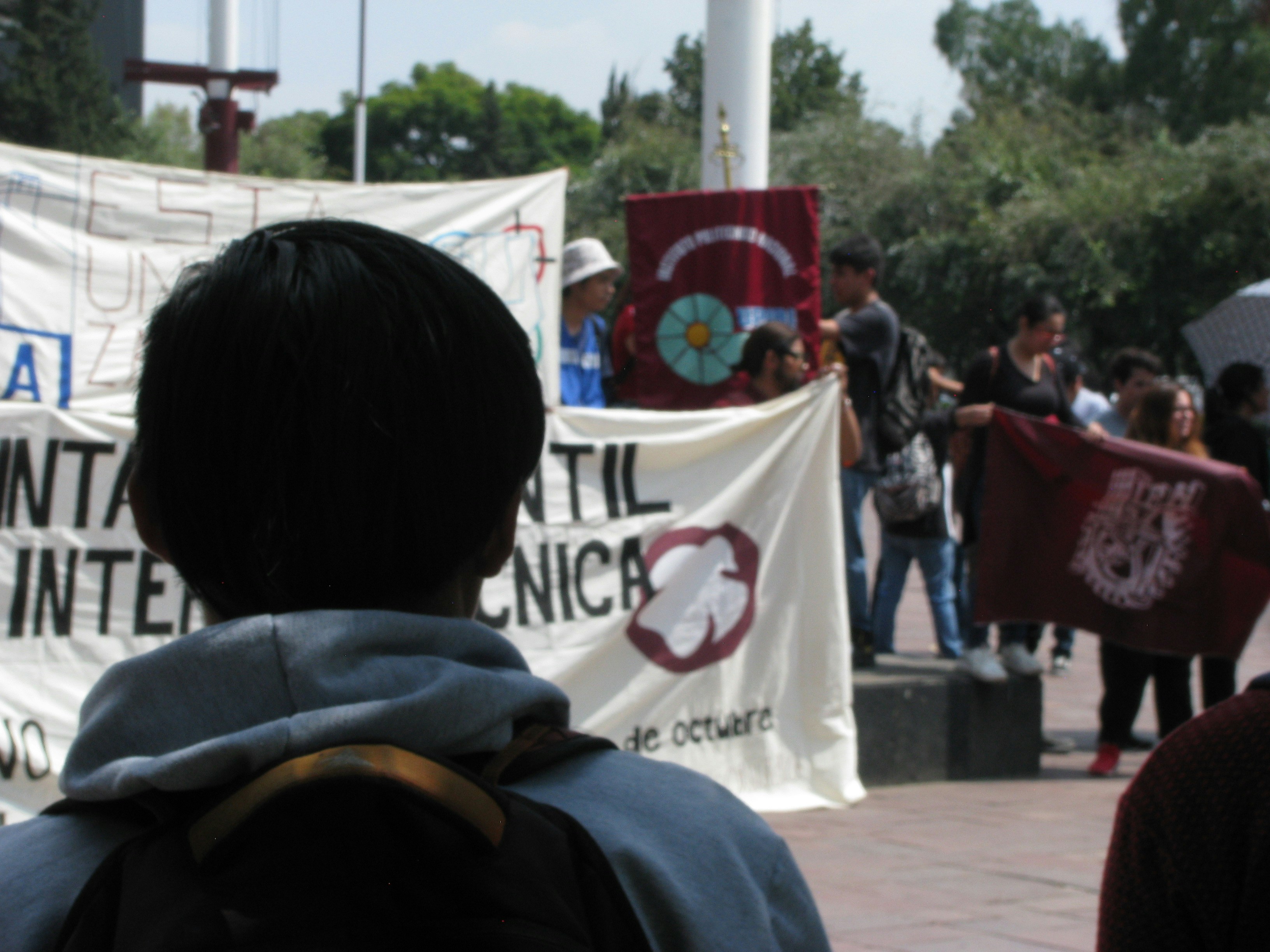 ¿Qué hace que un socio oficial de migración de aplicaciones Delphi a la web moderna sea verificado y experimentado?