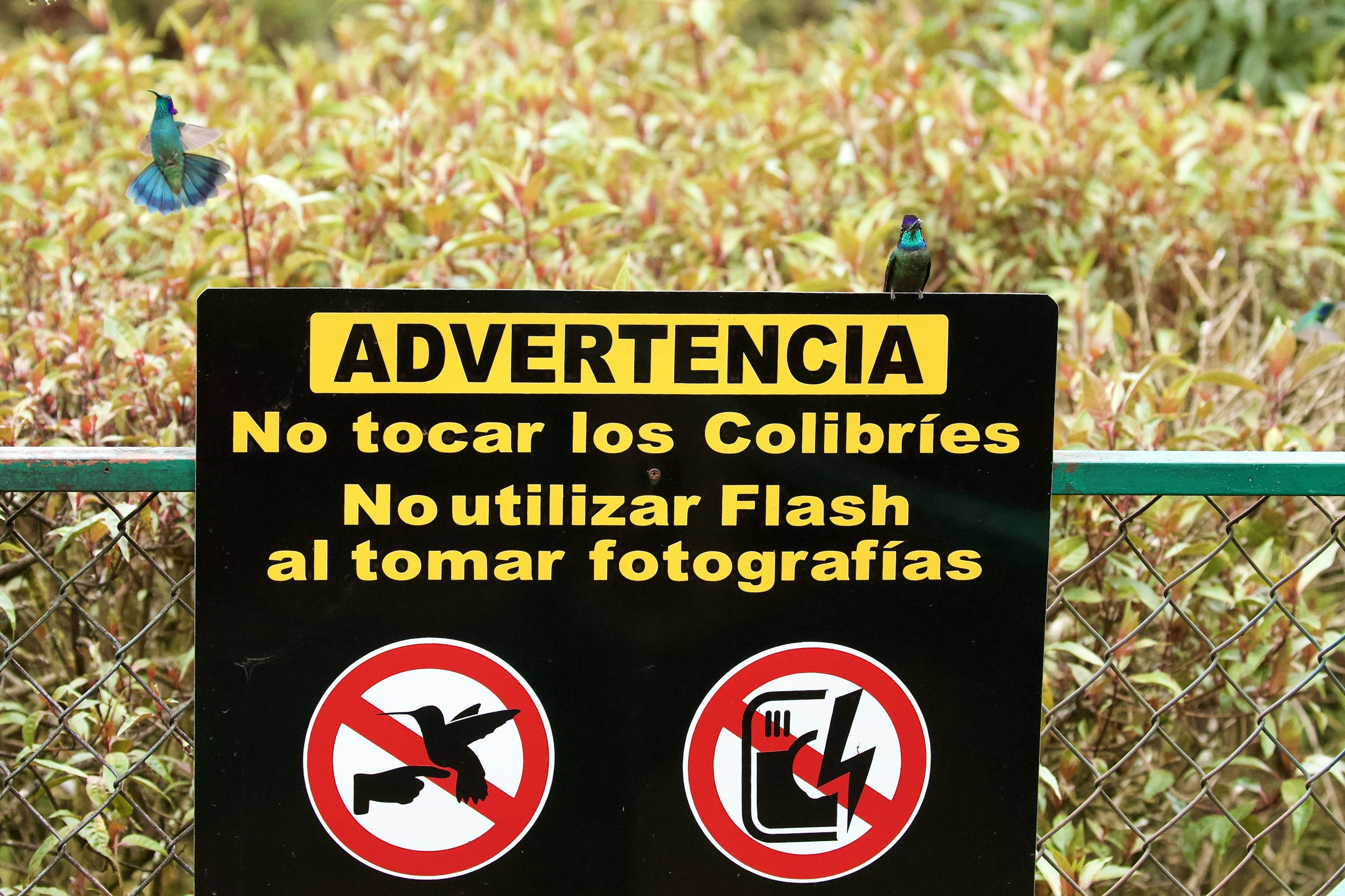 Los ataques contra Sam Altman son una advertencia para el mundo de la IA