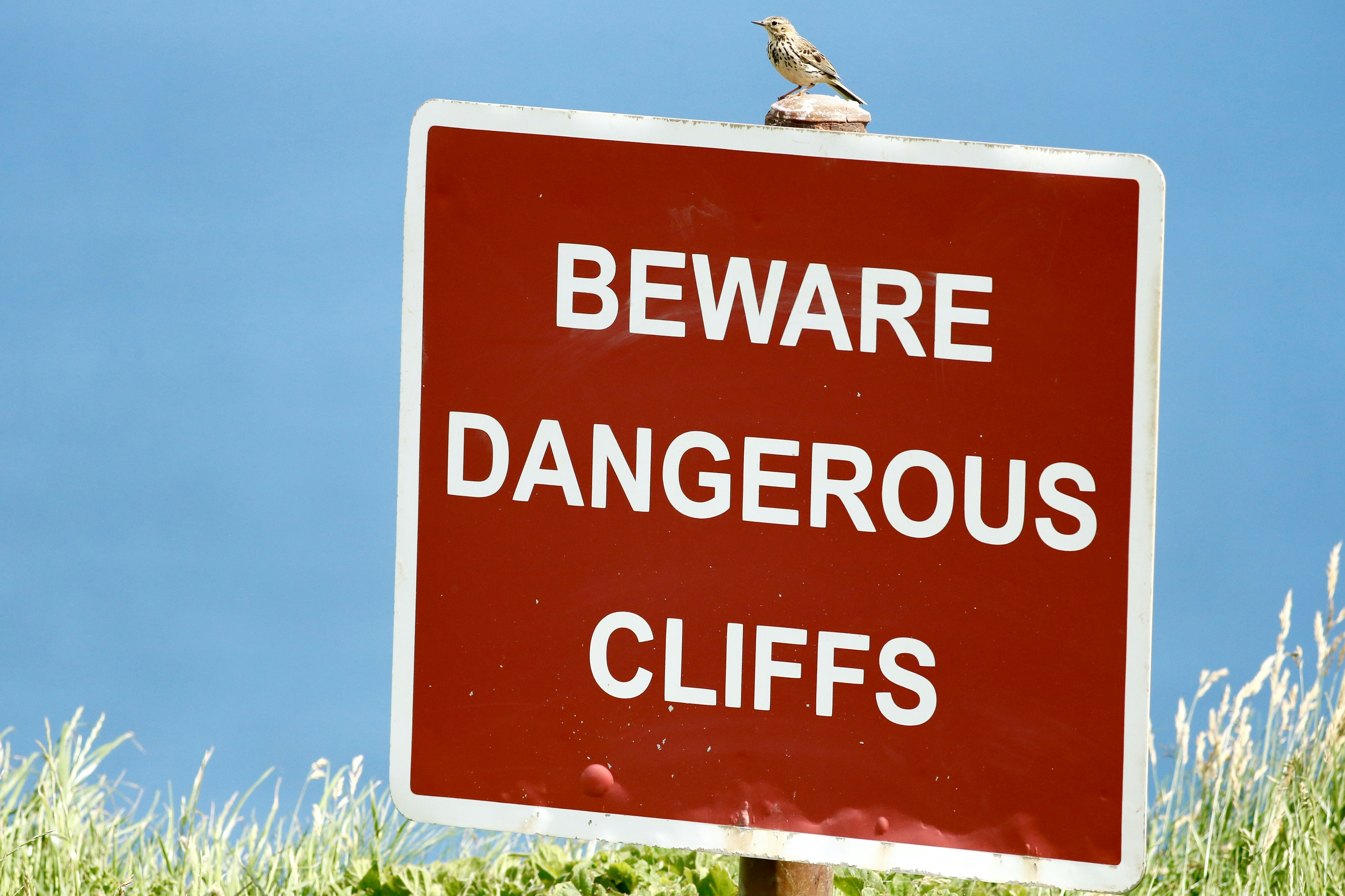 La vida secreta de la ruta de tu terminal