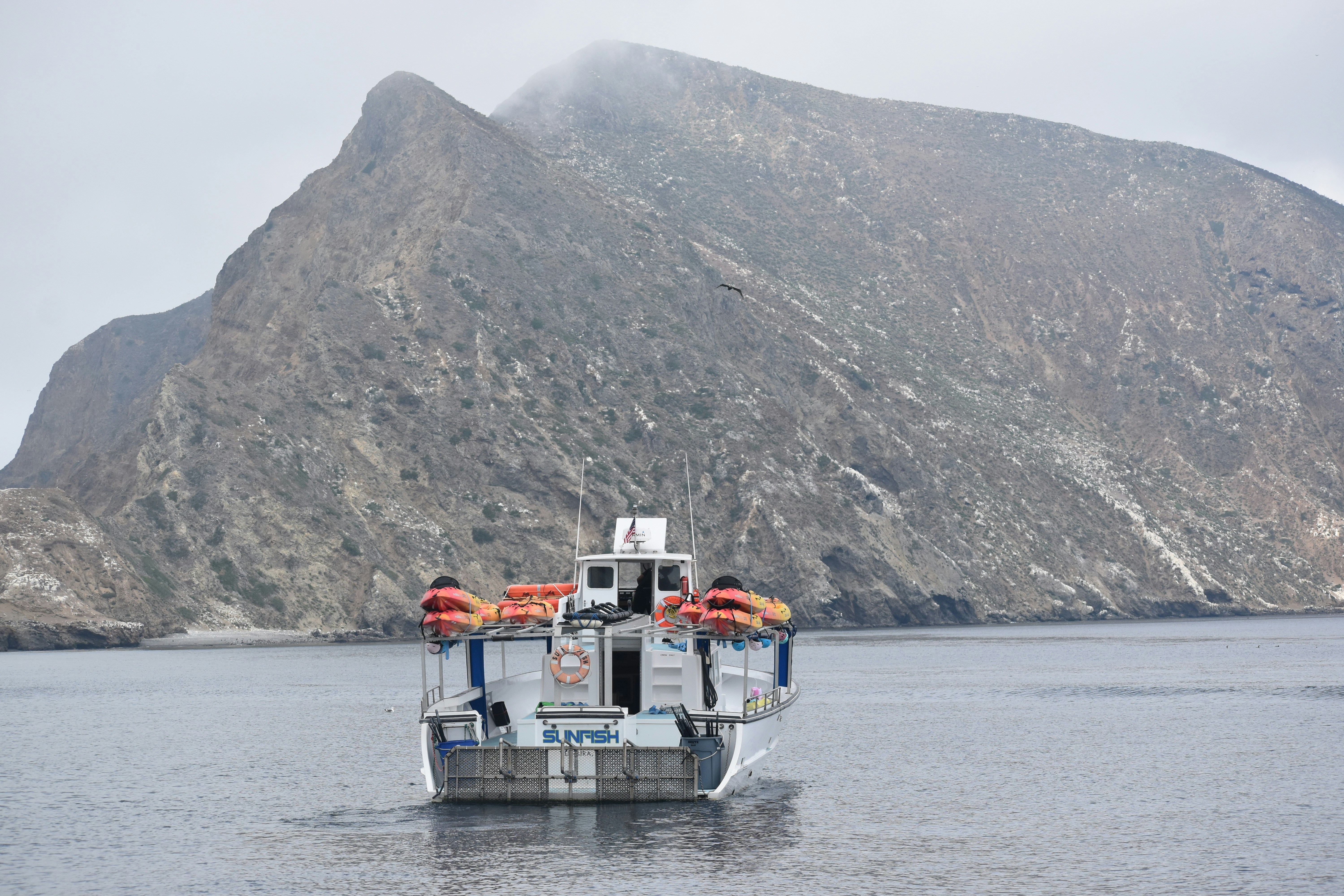 Servicios profesionales de n8n en Laguna de Duero