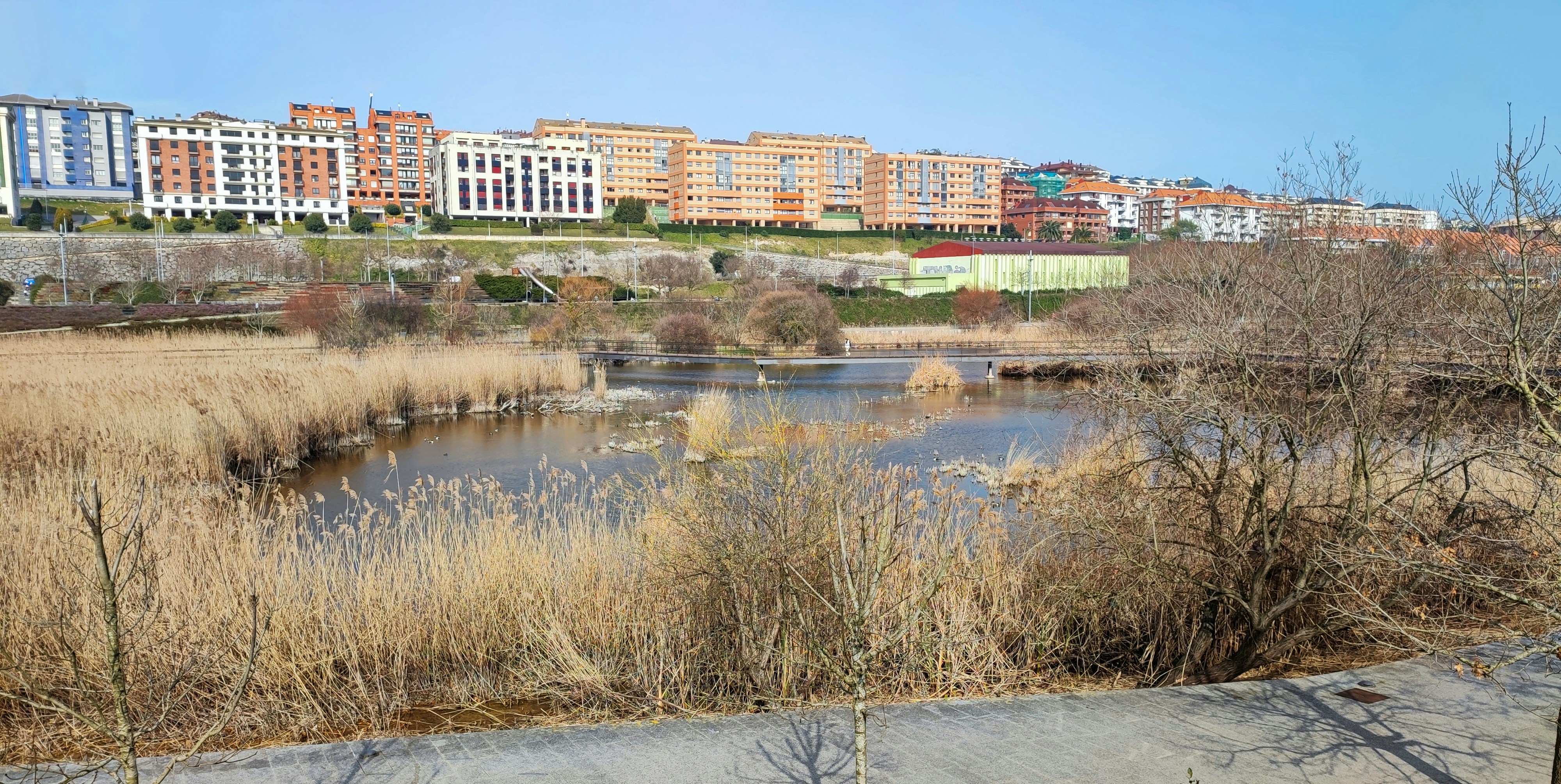 Top 100 Expertos en n8n en Zamora