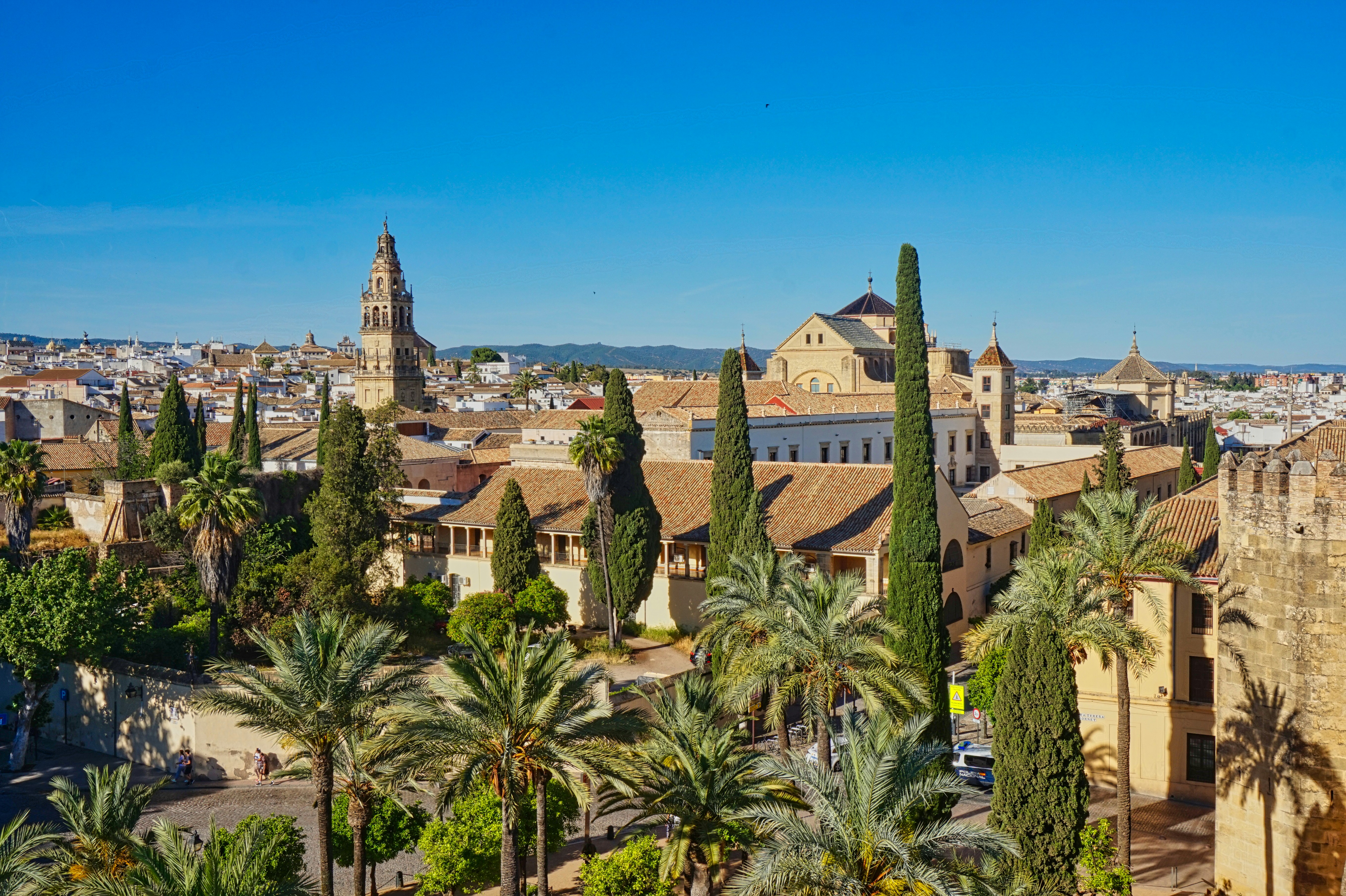 Los 100 mejores expertos en paneles de inteligencia empresarial en Córdoba