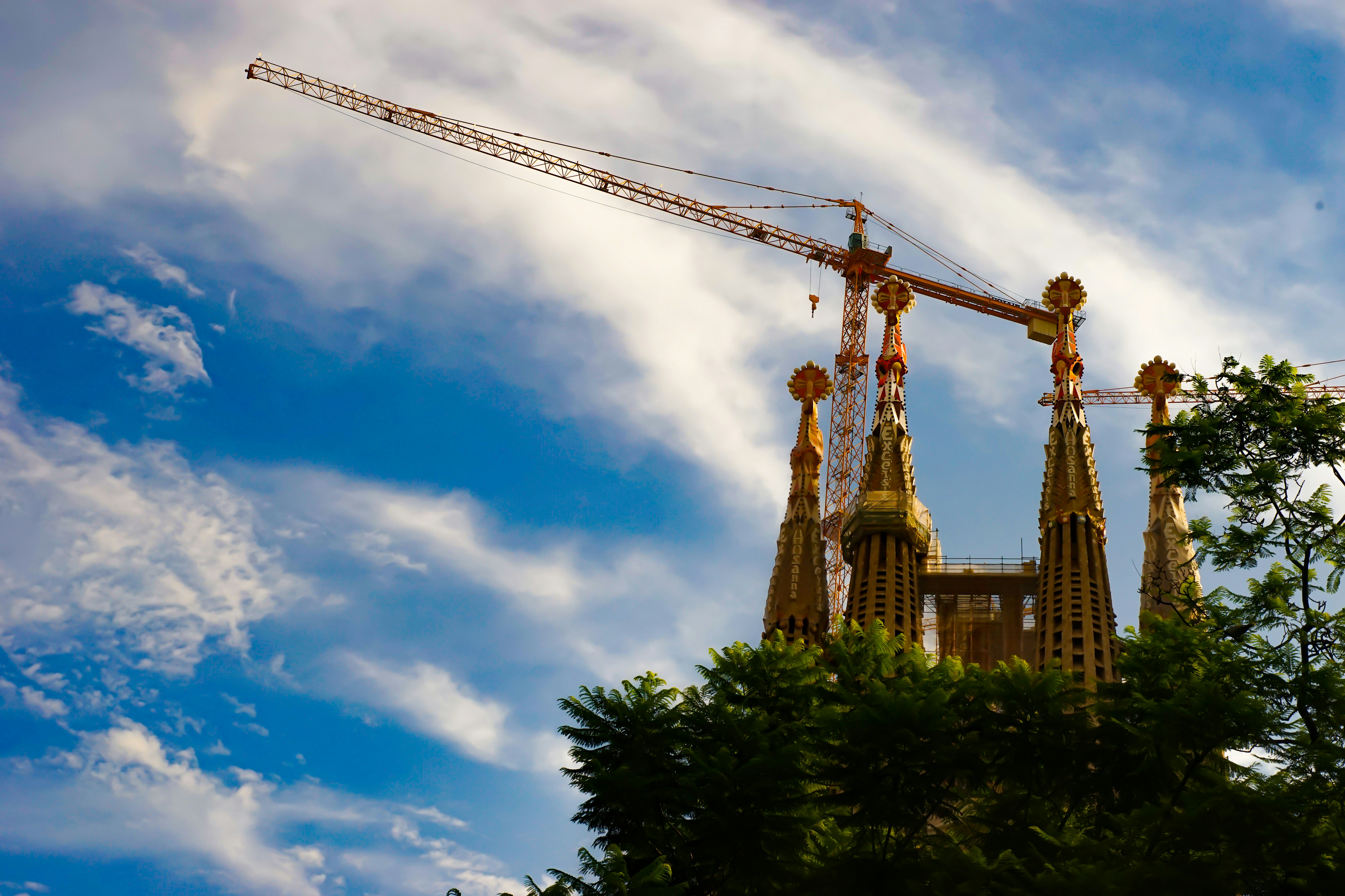 Por qué las empresas de construcción españolas eligen software de gestión personalizado en 2024: Perspectivas de expertos