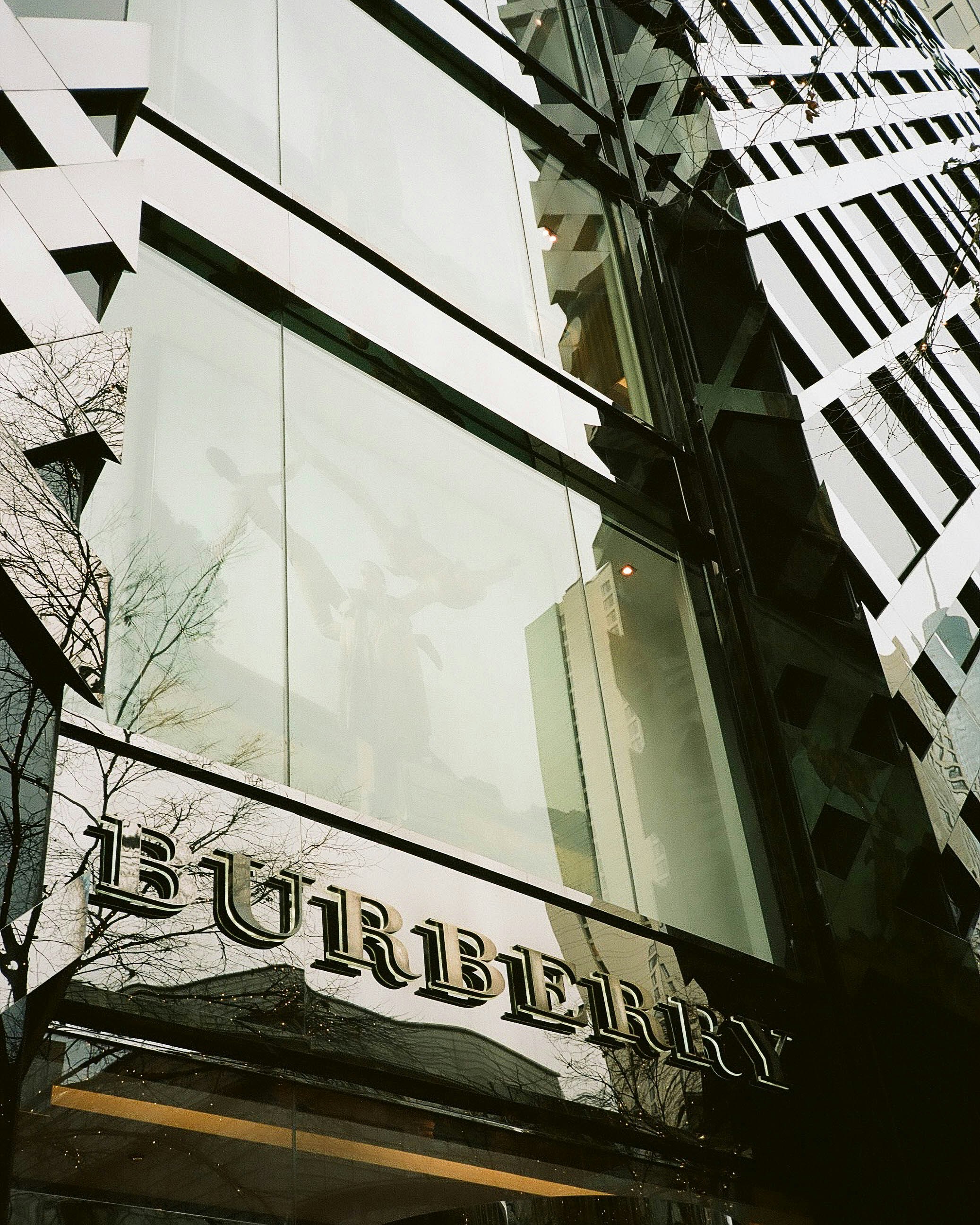 Por qué las empresas de EE. UU. están cambiando a consultorías de IA boutique en lugar de firmas grandes