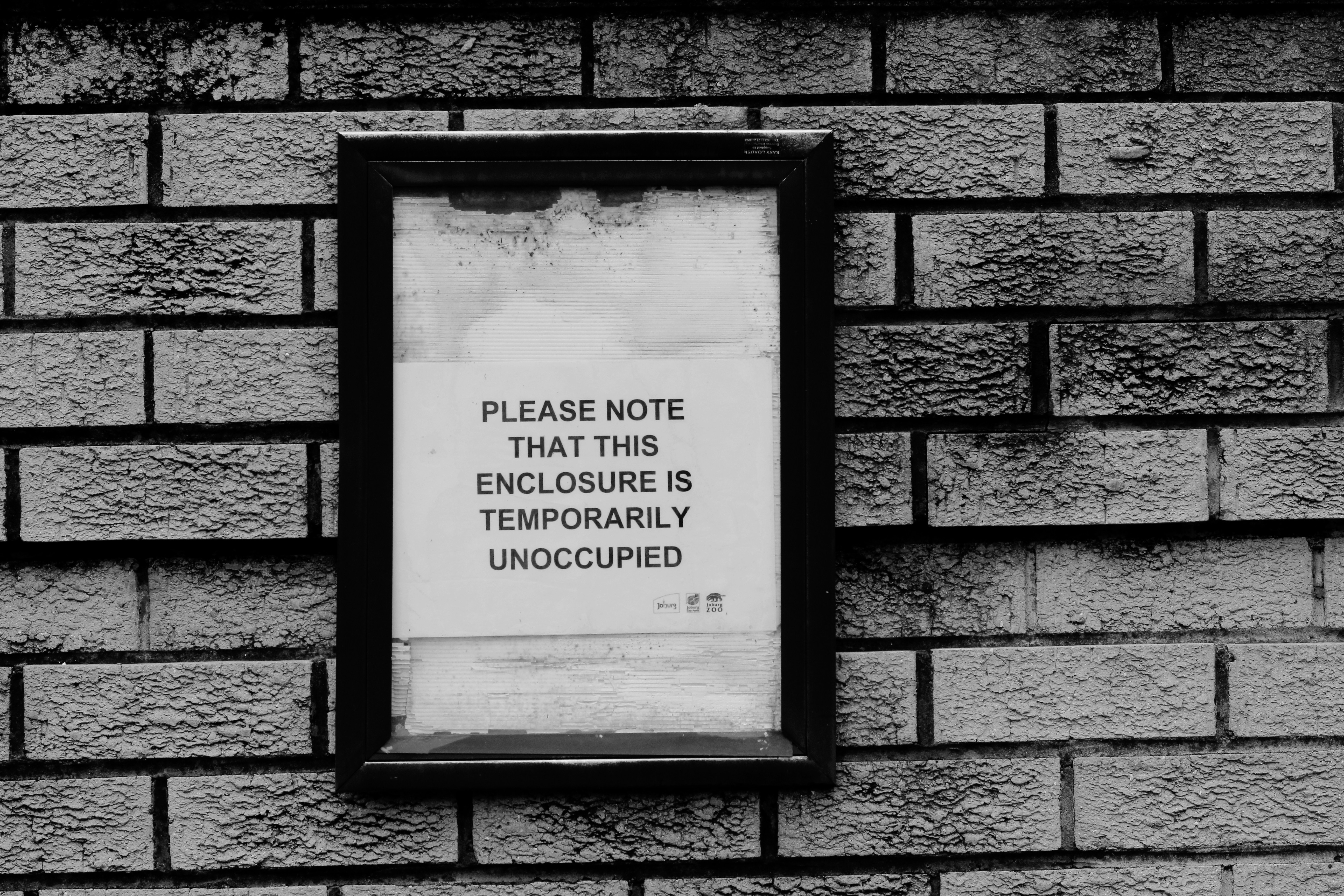 Creé un marco inspirado en Laravel en Node.js (aquí está la razón) - NetPress